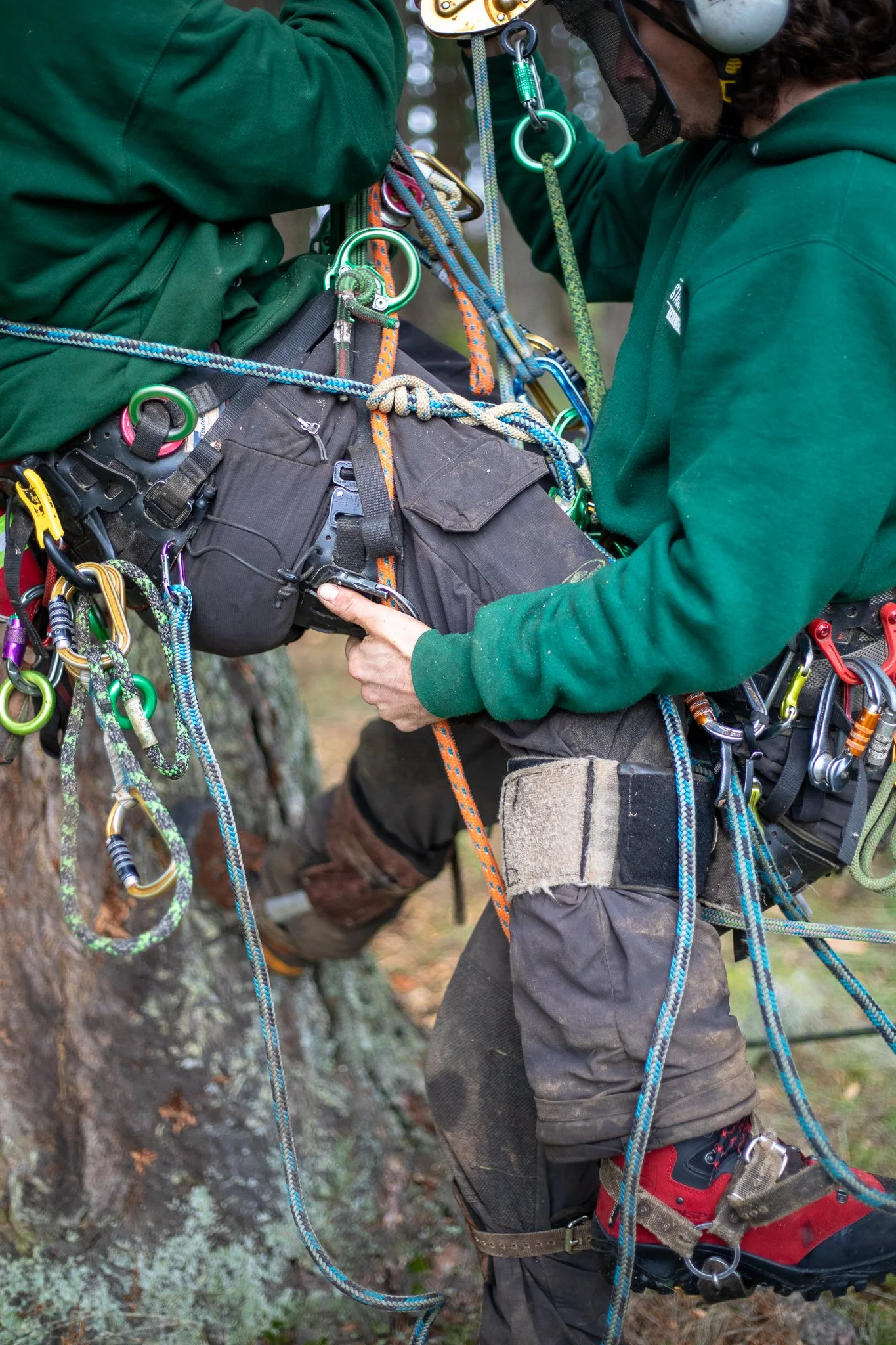 ISA Certified Arborist Safety & Rescue Training - Tree Care -  Vancouver Island - British Columbia