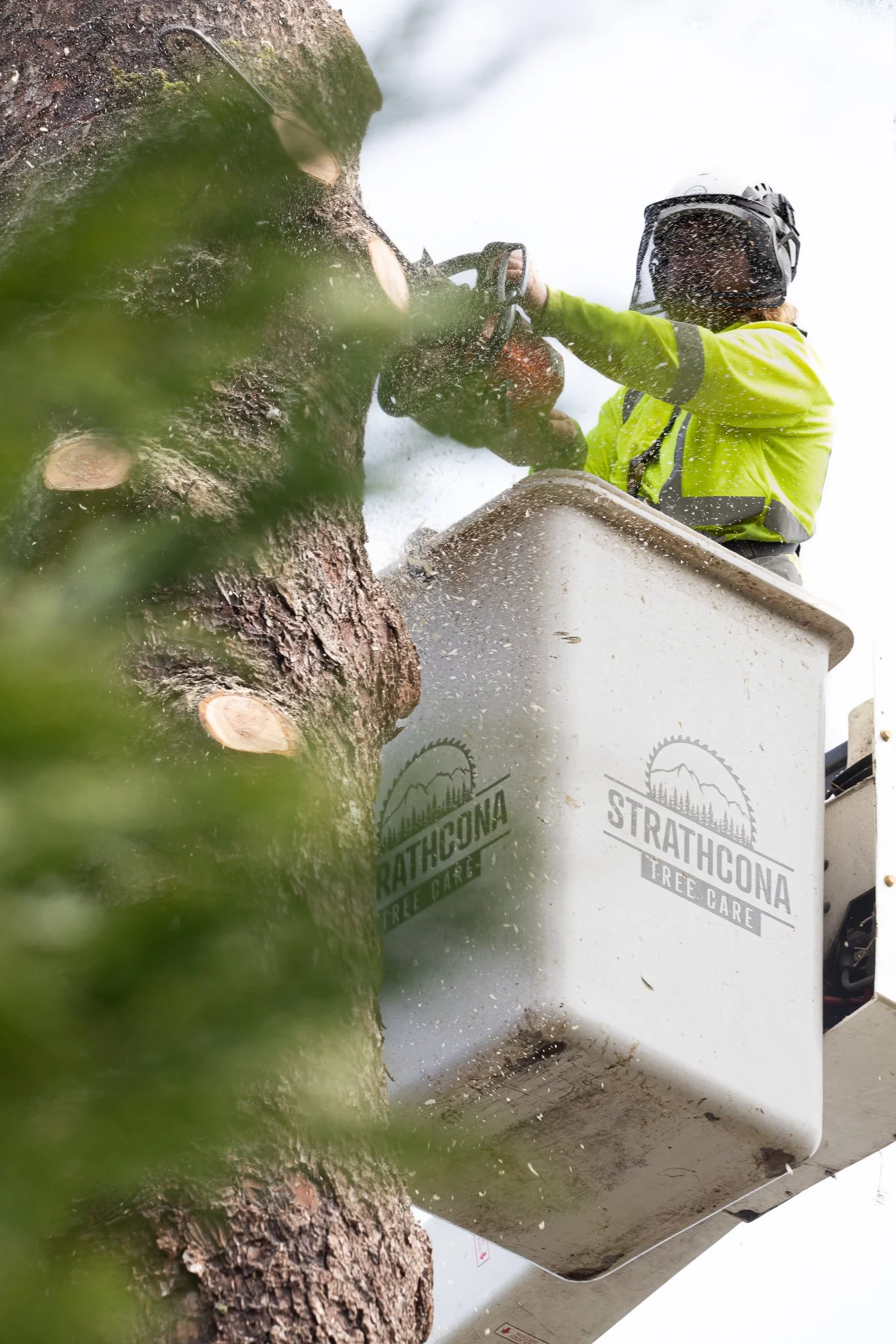 ISA Certified Arborist using bucket truck to perform safe tree removal -  Vancouver Island - British Columbia - Strathcona Tree Care - Bucket Truck Safety Equipment