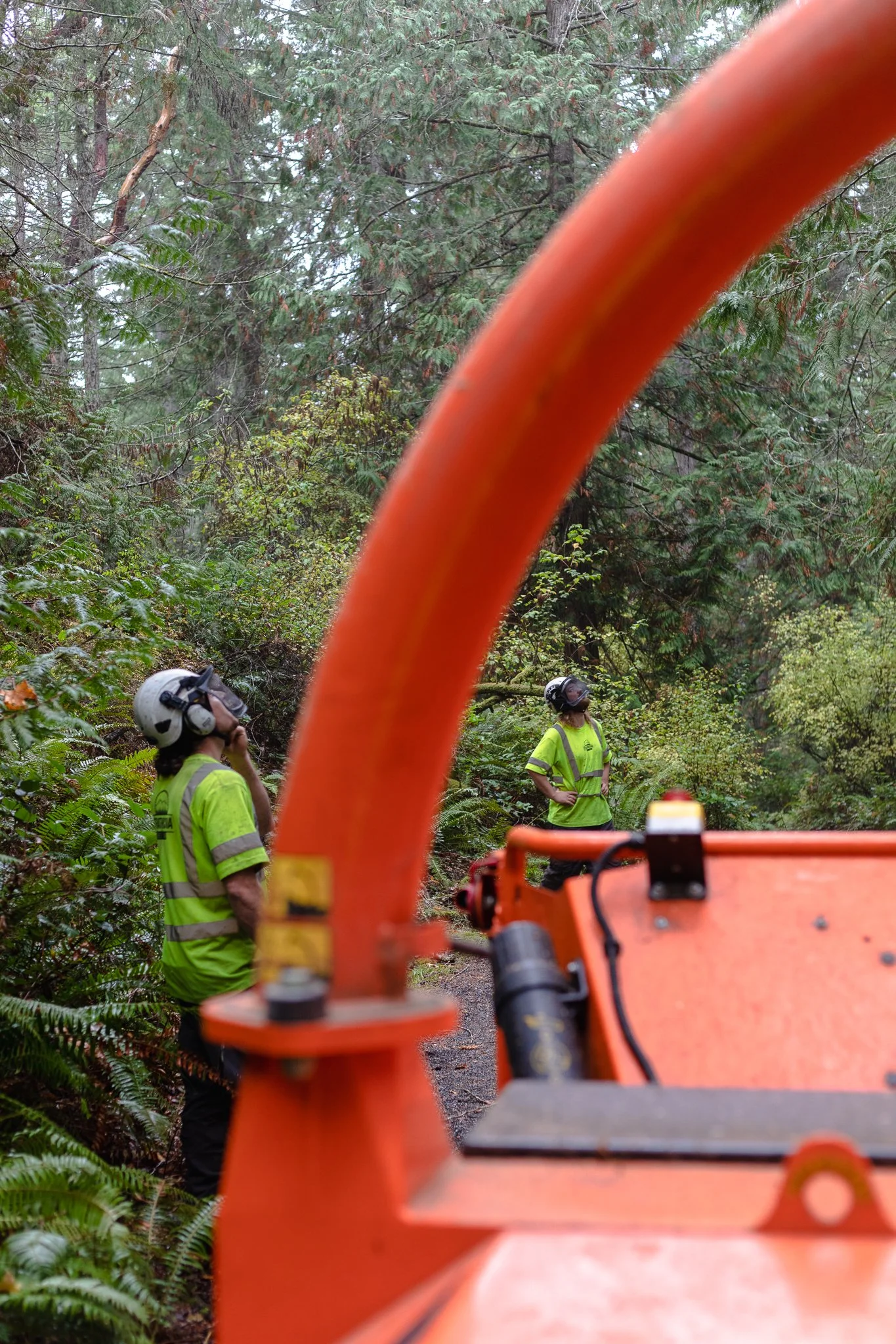 ISA Certified Arborist On-Site - Tree Reduction - Chipping Branches - Recycling - Vancouver Island - British Columbia