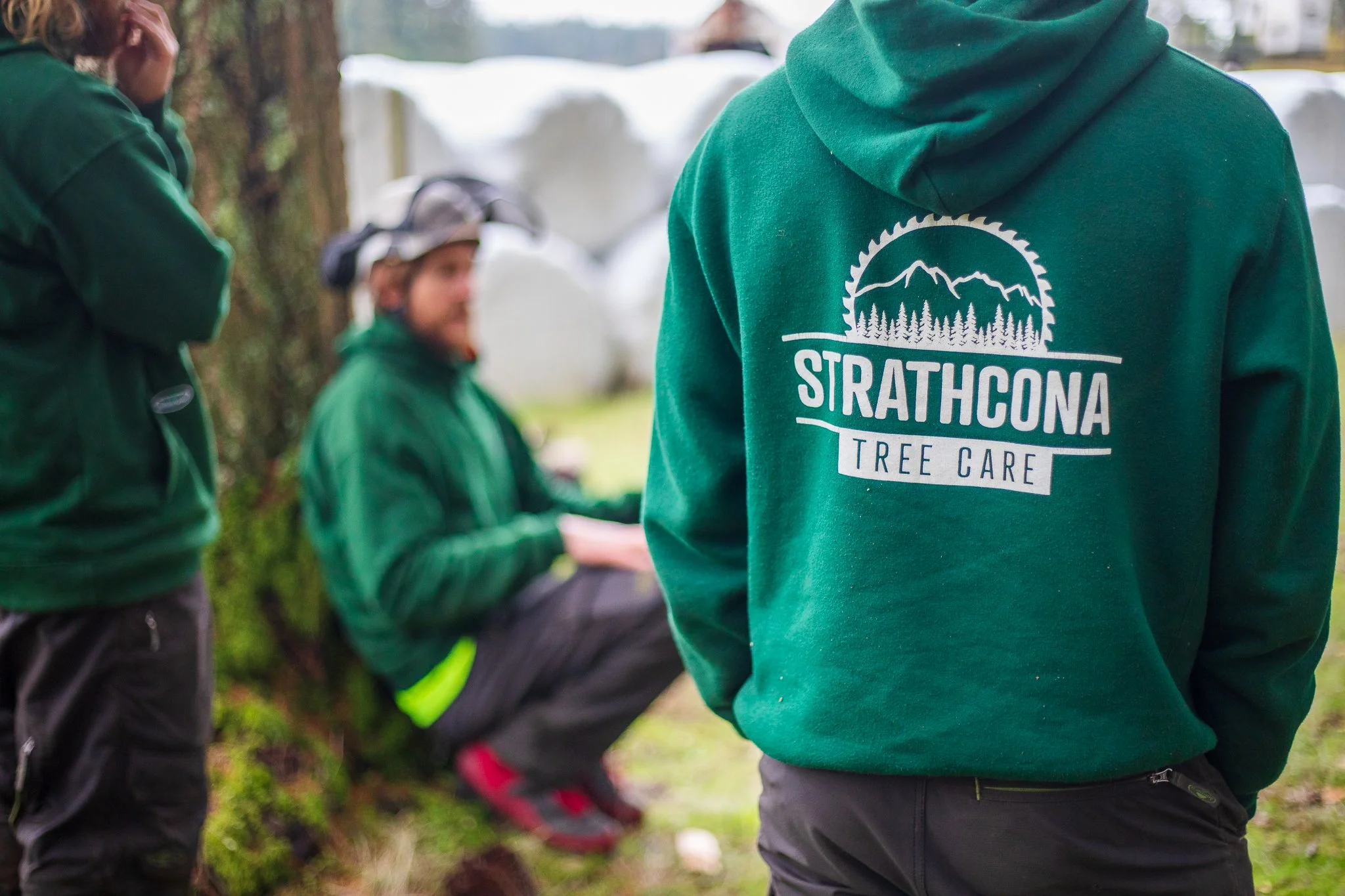 ISA Certified Arborist -  Vancouver Island - British Columbia - Strathcona Tree Care