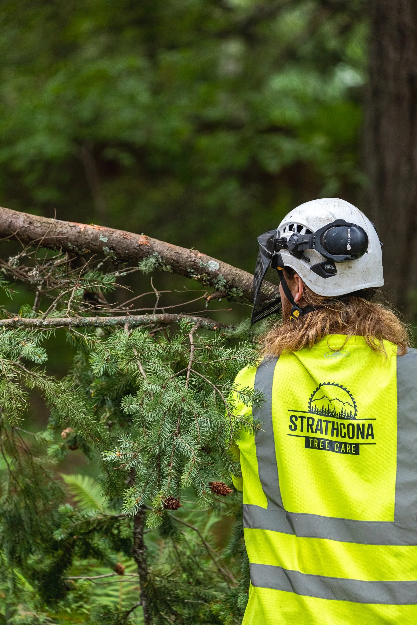 Certified Arborist Ground Helper Dragging Branches On Site