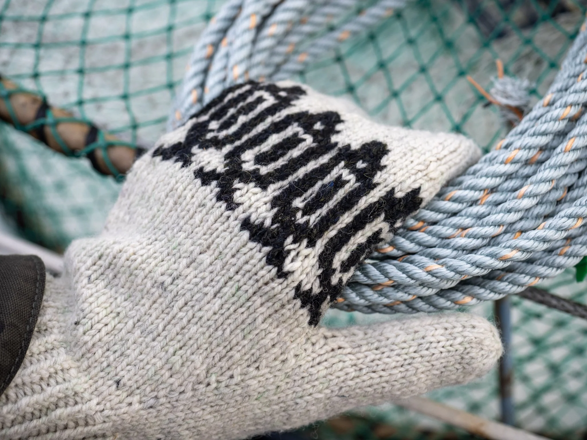 2025-12-03_08-24-11_186 (1).jpeg