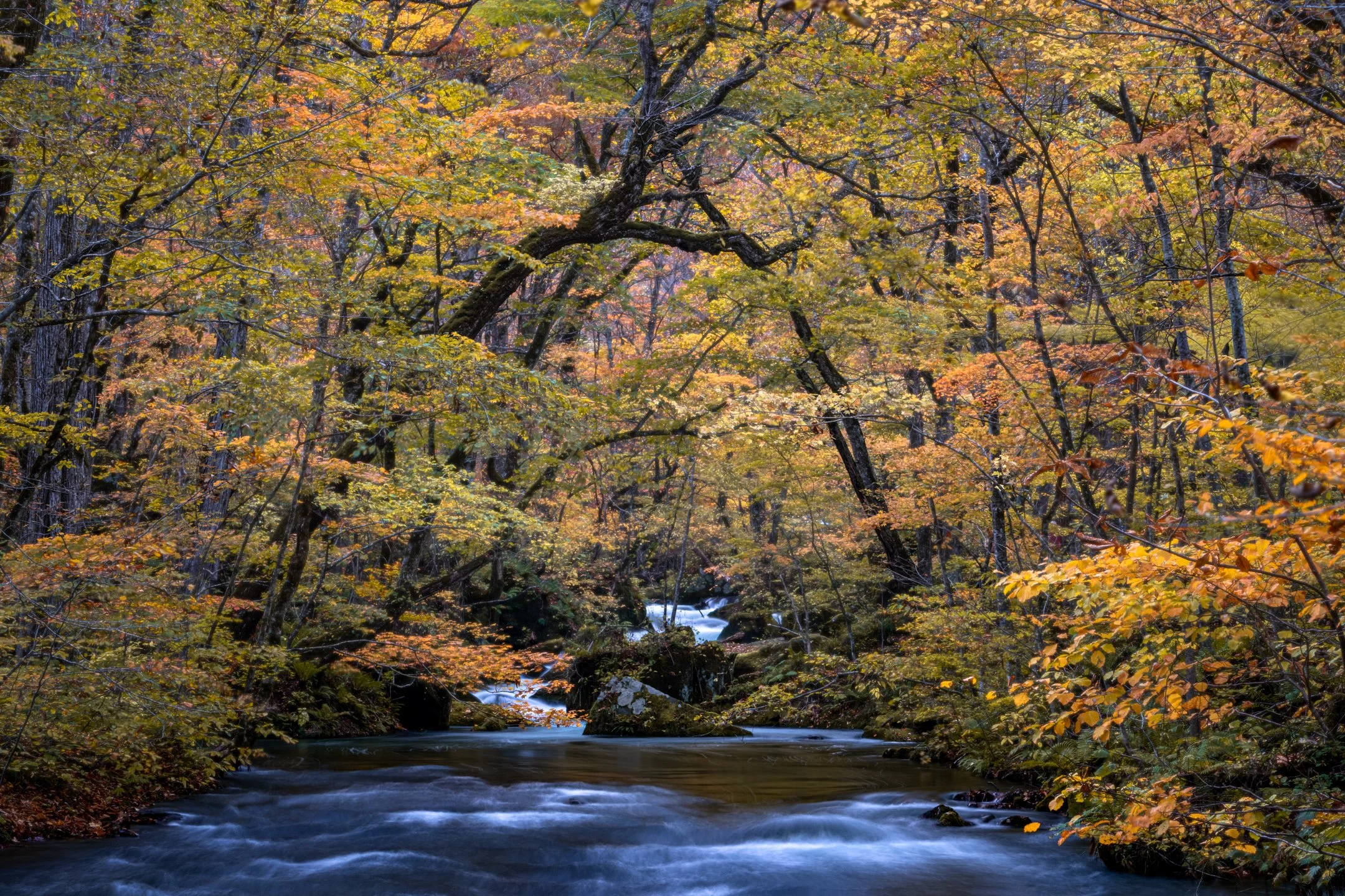 DSC02591-Edit.jpg