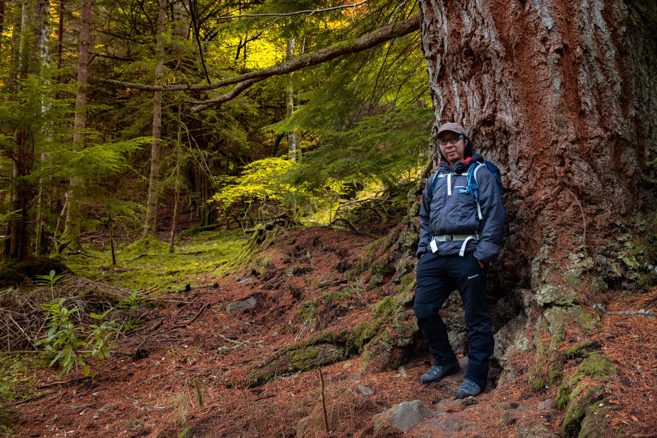 A man in outdoor hiking gear leaning against a large tree trunk in a dense forest with green foliage and moss-covered ground.