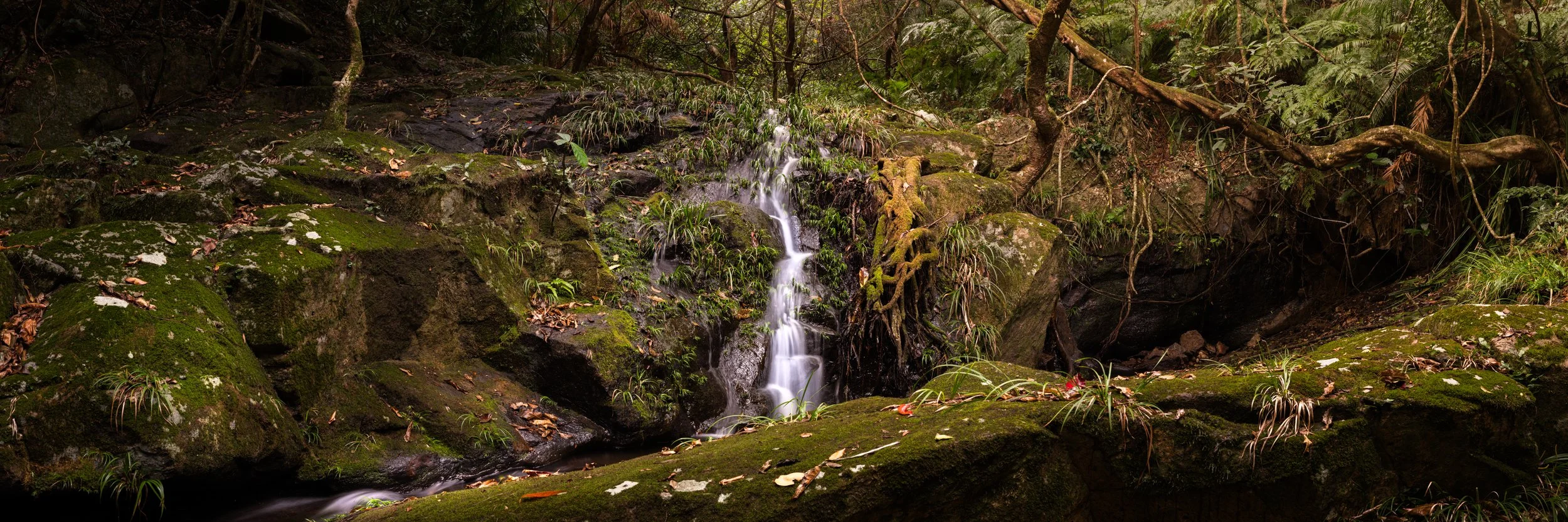 DSC00148-Pano.jpg