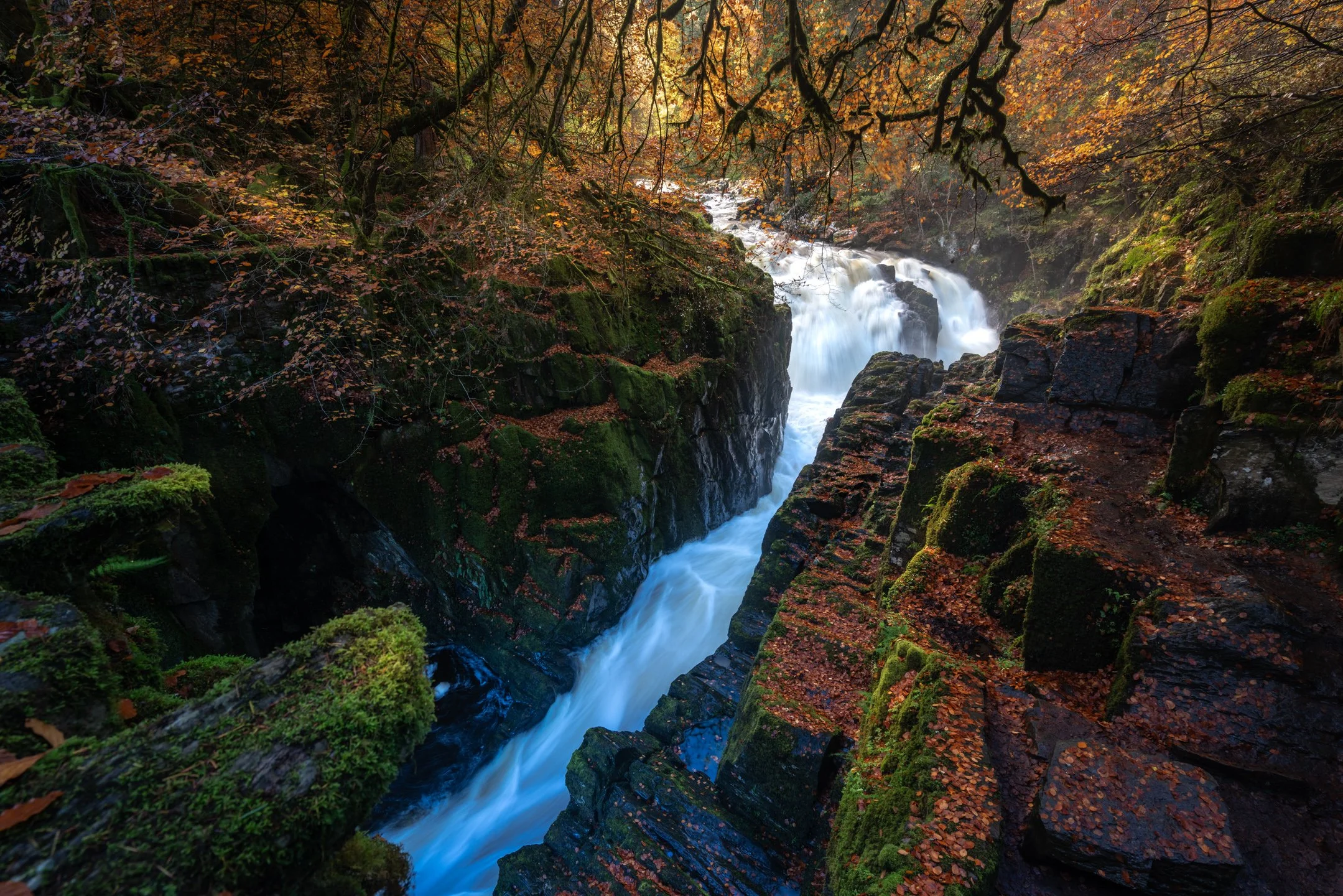 DSC01213-HDR.jpg