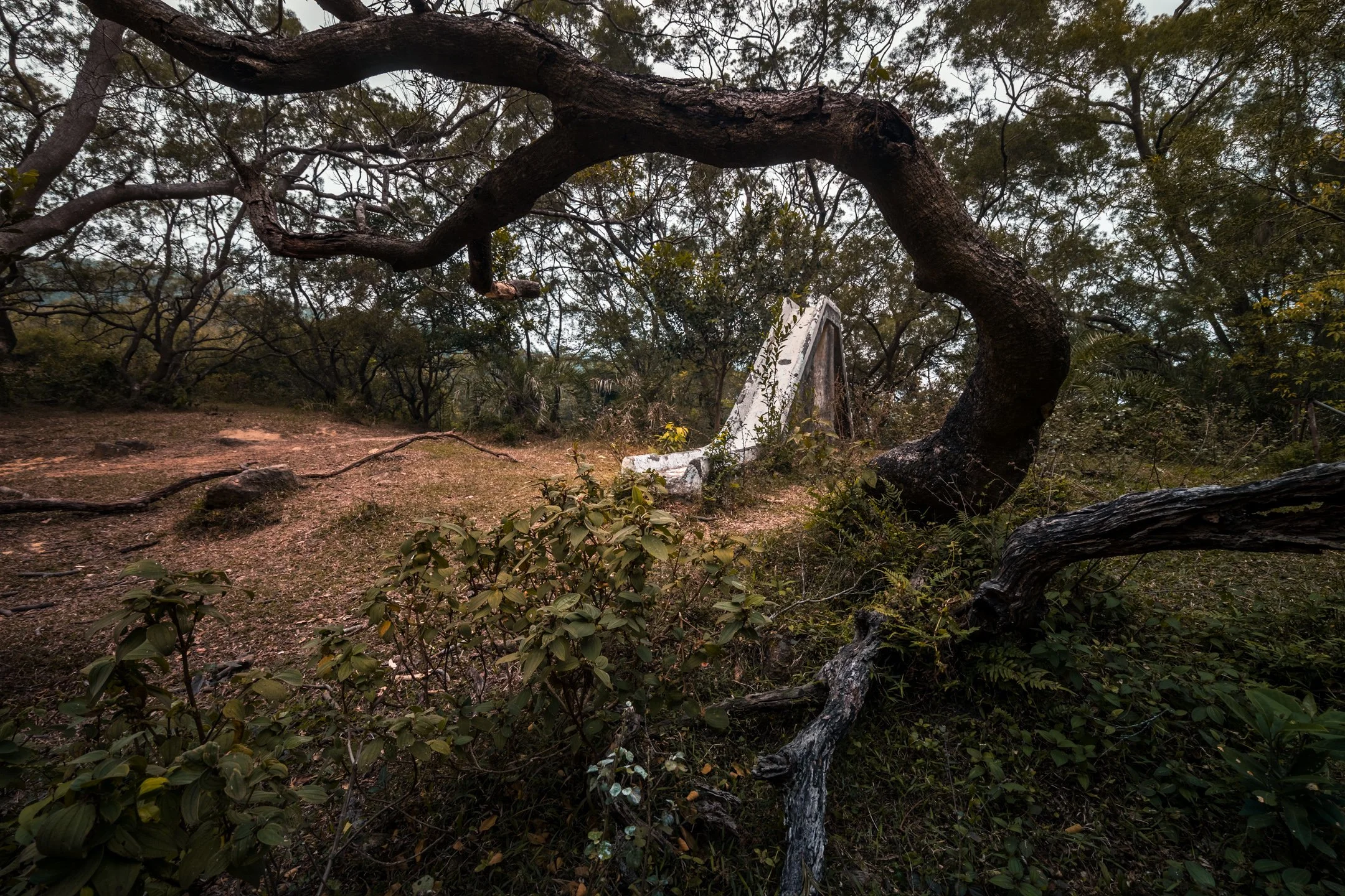 DSC01180-HDR.jpg