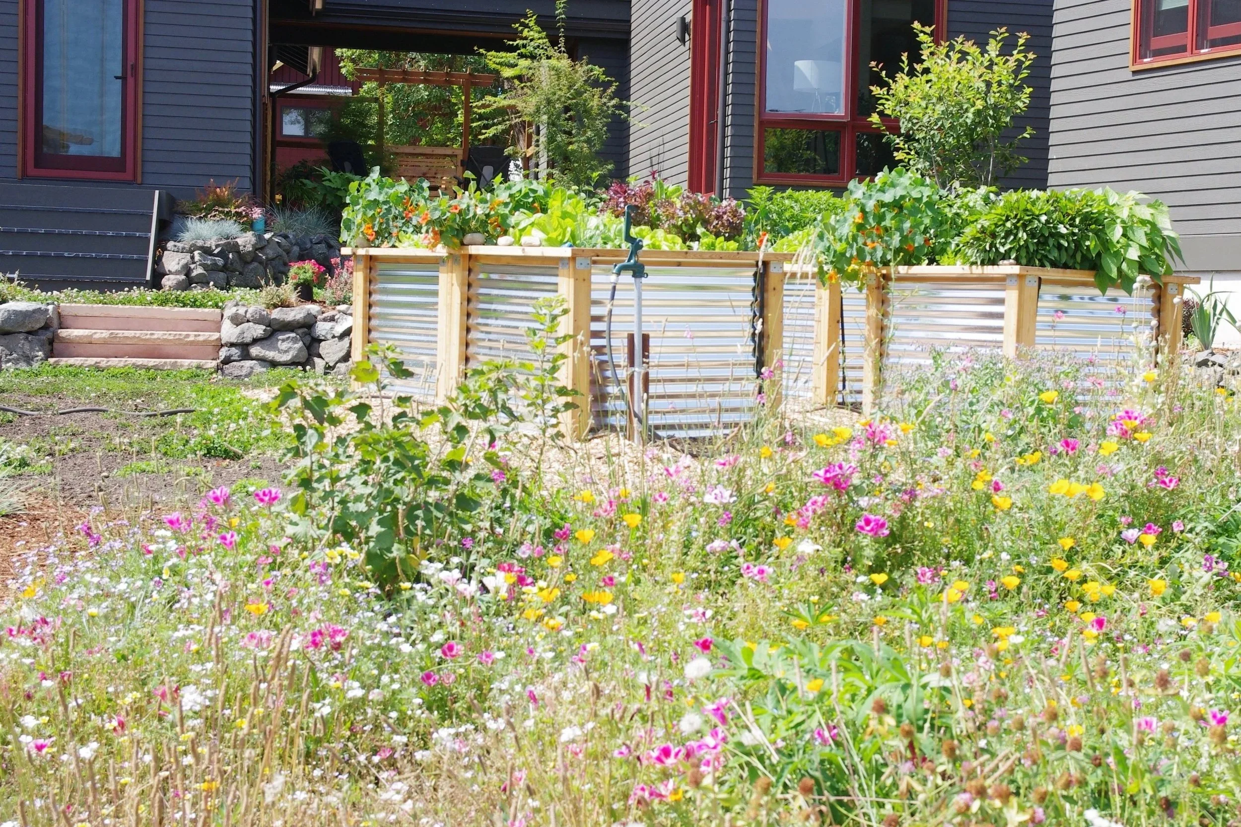 Urban Farm Design Raised beds
