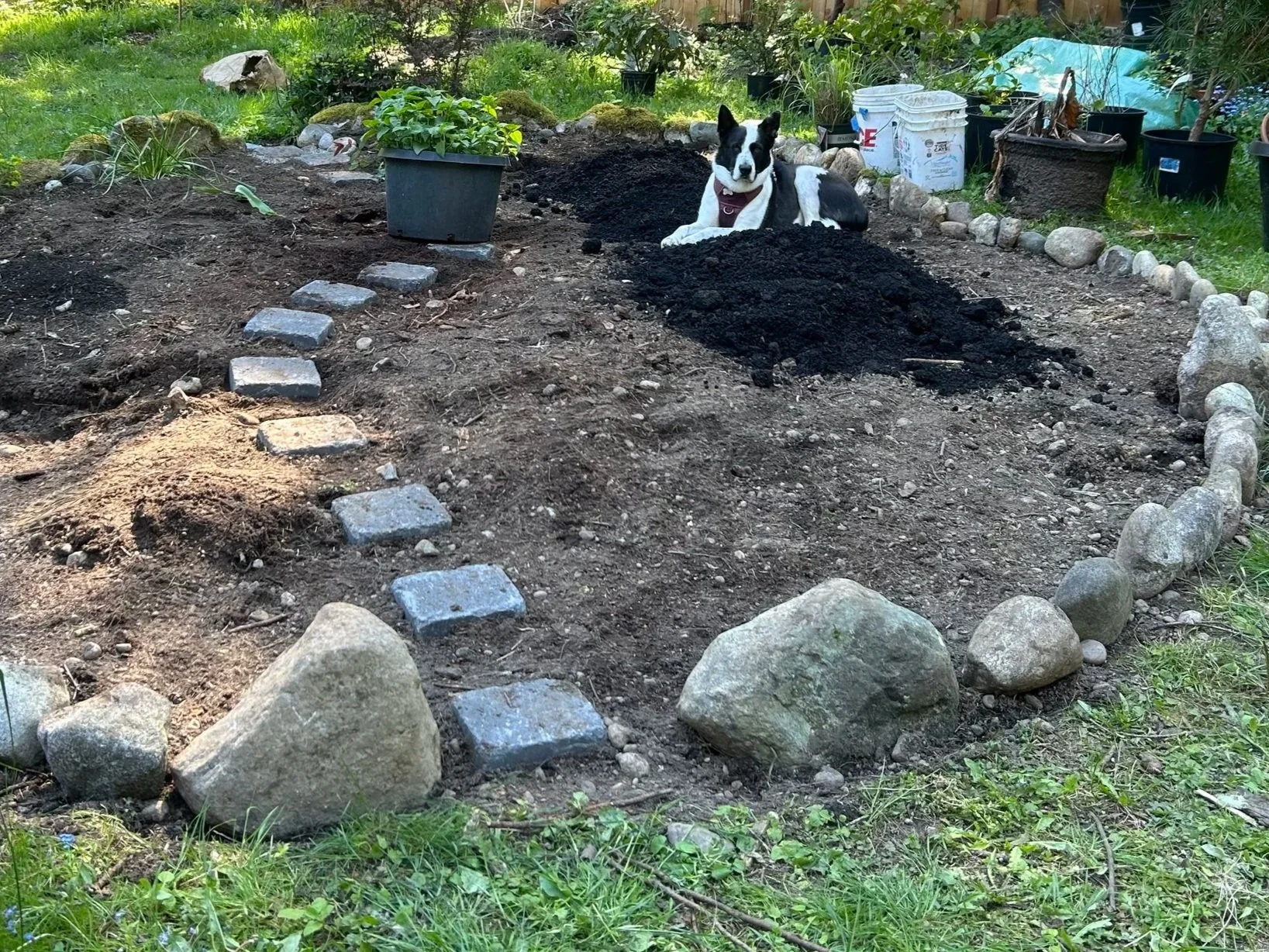 Building a pollinator bee friendly garden