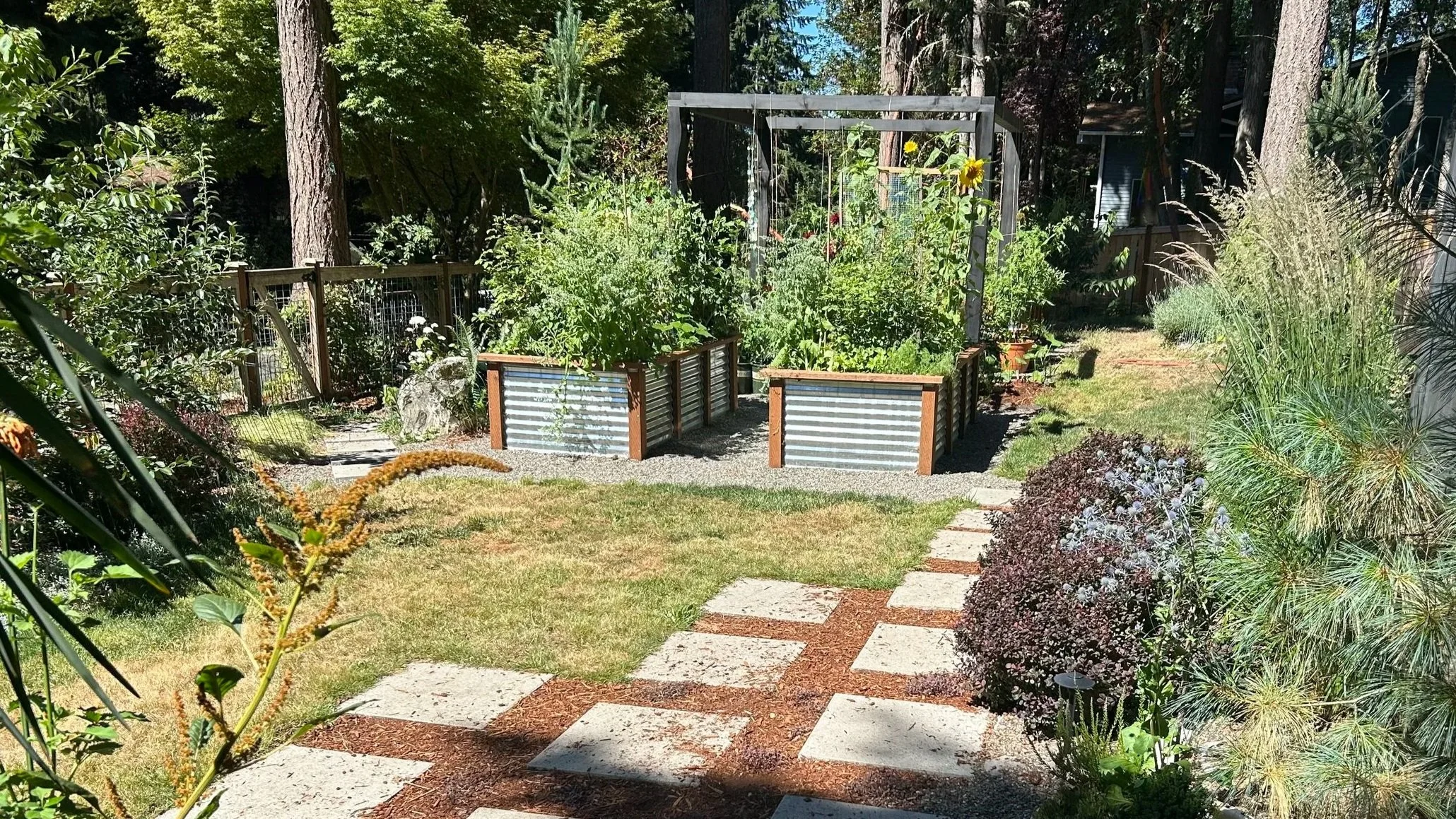 Front Yard from portch.jpg