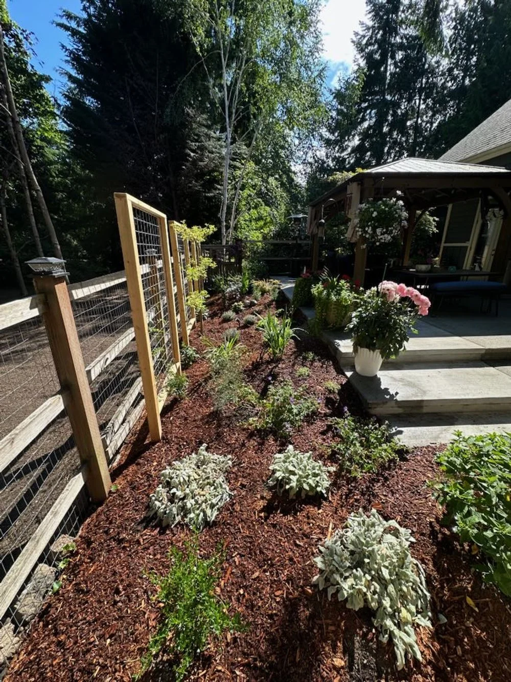 sunny pnw flower garden