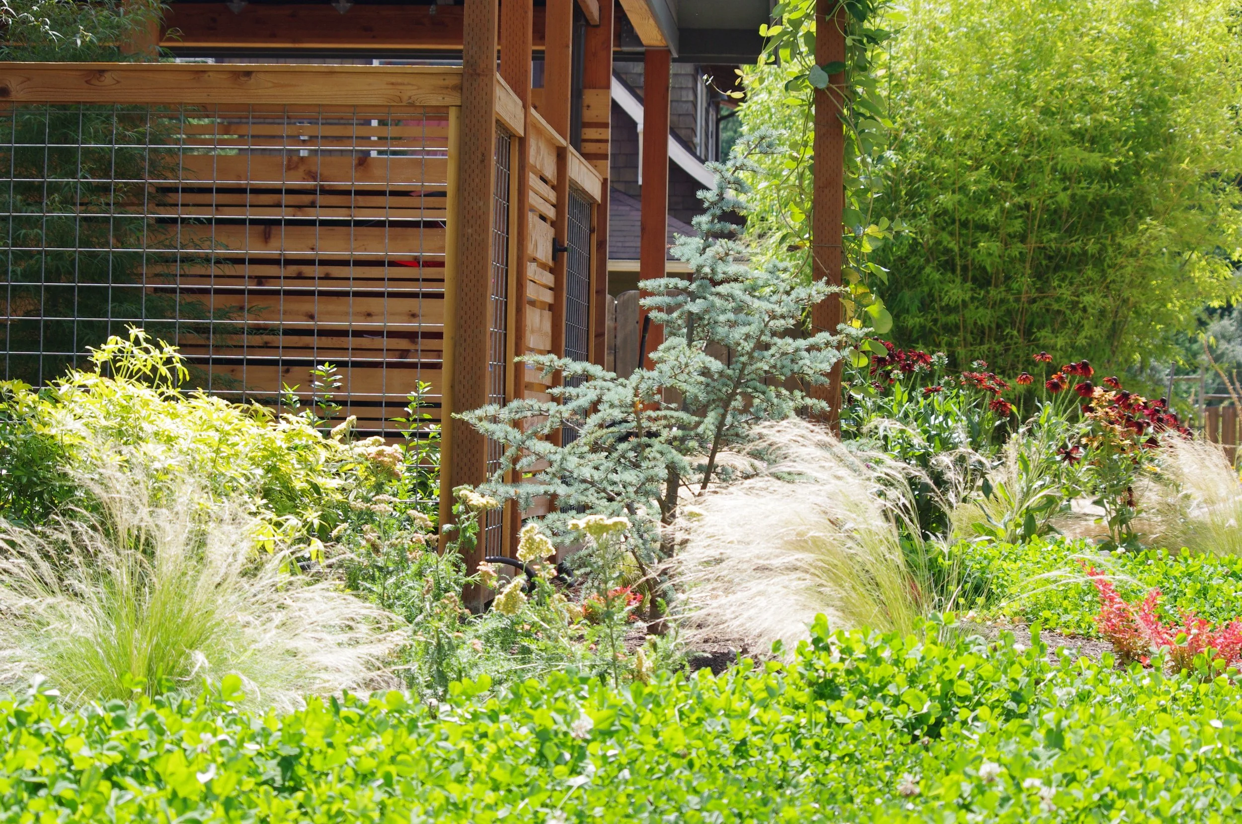 Custom cedar fence privacy screen