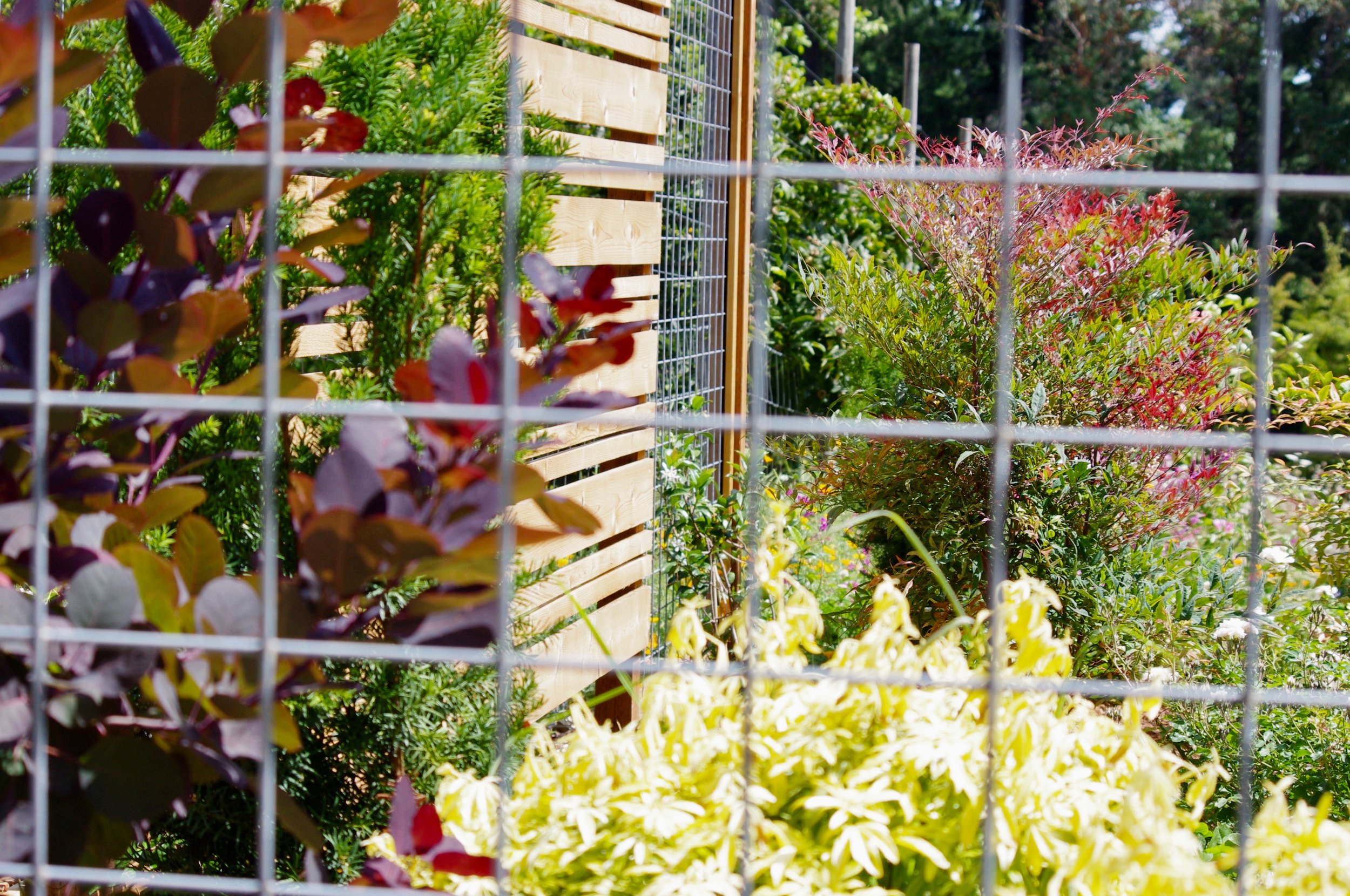 Hog panel cedar fence