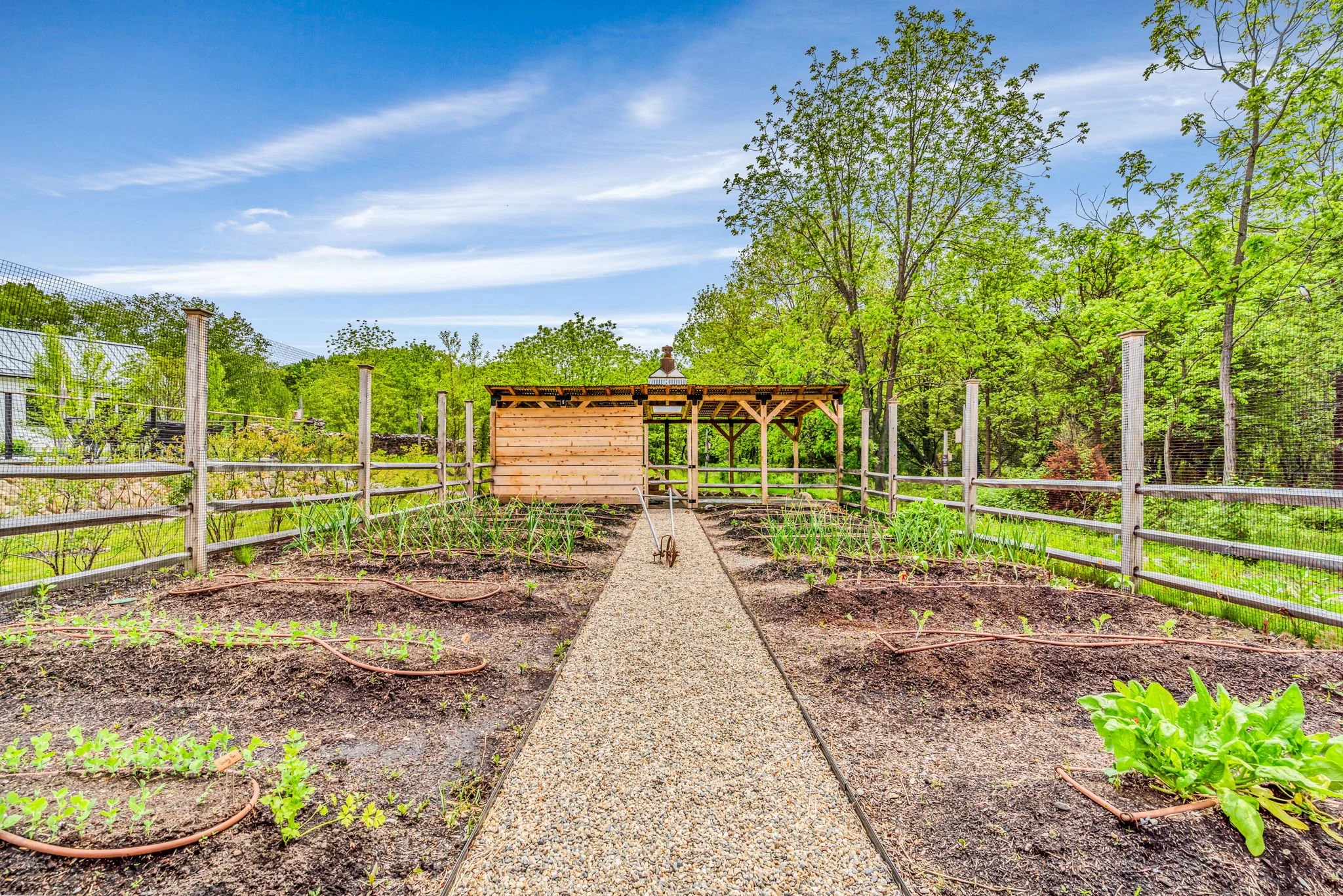 61-web-or-mls-Hatch 5.28.25-61.jpg