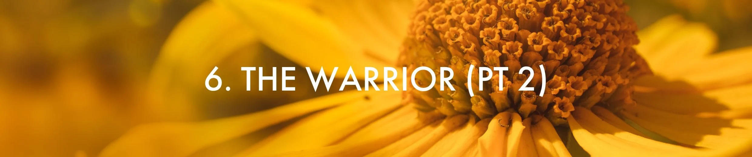 6. The Warrior Pt 2 - 12 Week Program.jpg