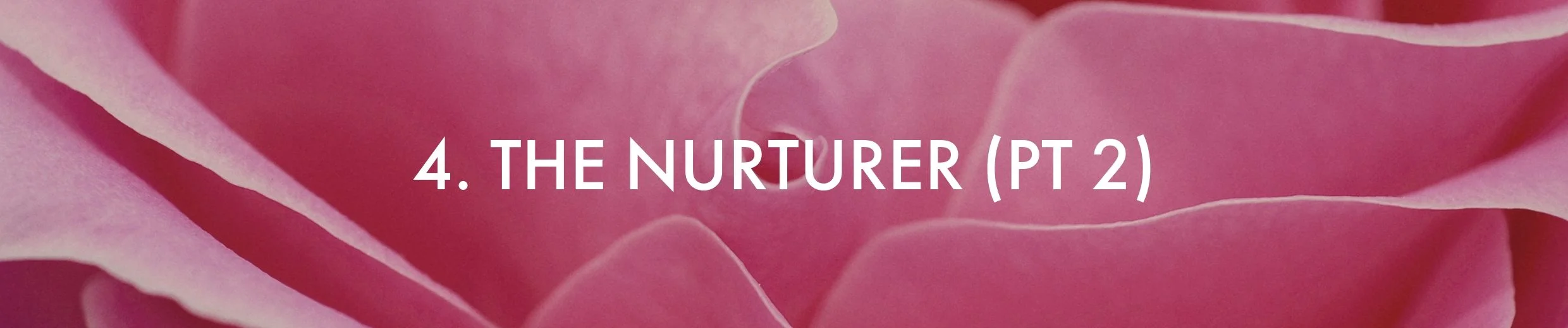 3. The Sage - 12 Week Program (5).jpg