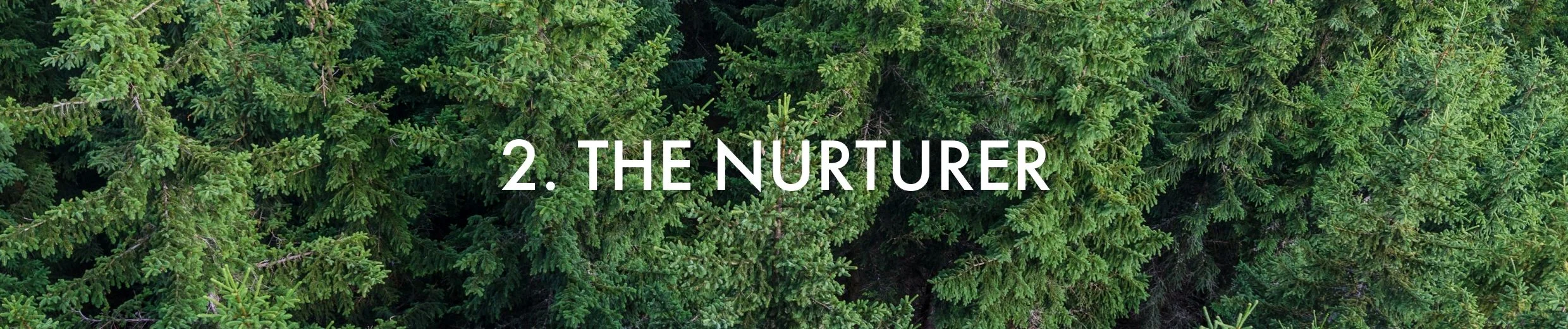 2. The Nurturer - 12 Week Program.jpg