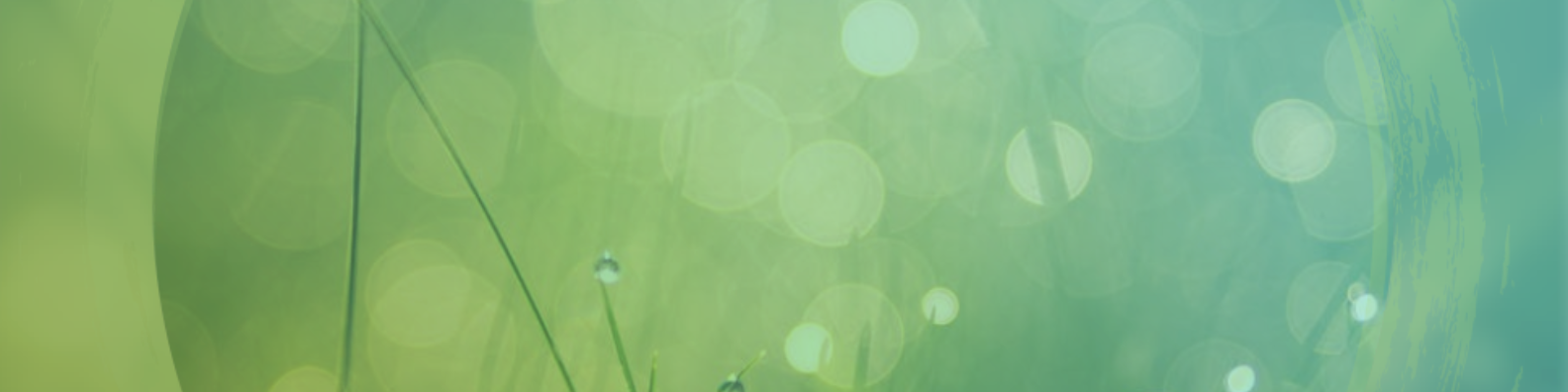 Black Minimal Motivation Quote LinkedIn Banner.png
