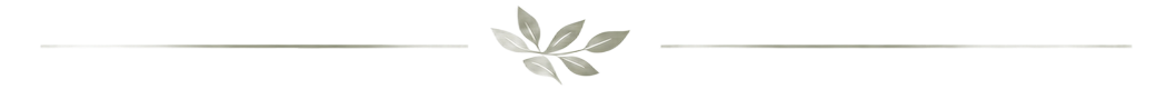 A decorative horizontal banner with green leaves and thin black lines.