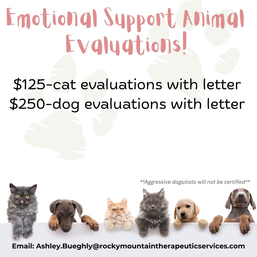 Do you have a cuddly cat or dog that you go to for EVERYTHING! Me too. Have them certified as an Emotional Support Animal and never pay those rental pet fees again! #therapydog #emotionalsupport #esa #esadog #esacat #mentalhealthsupport #mentalhealth