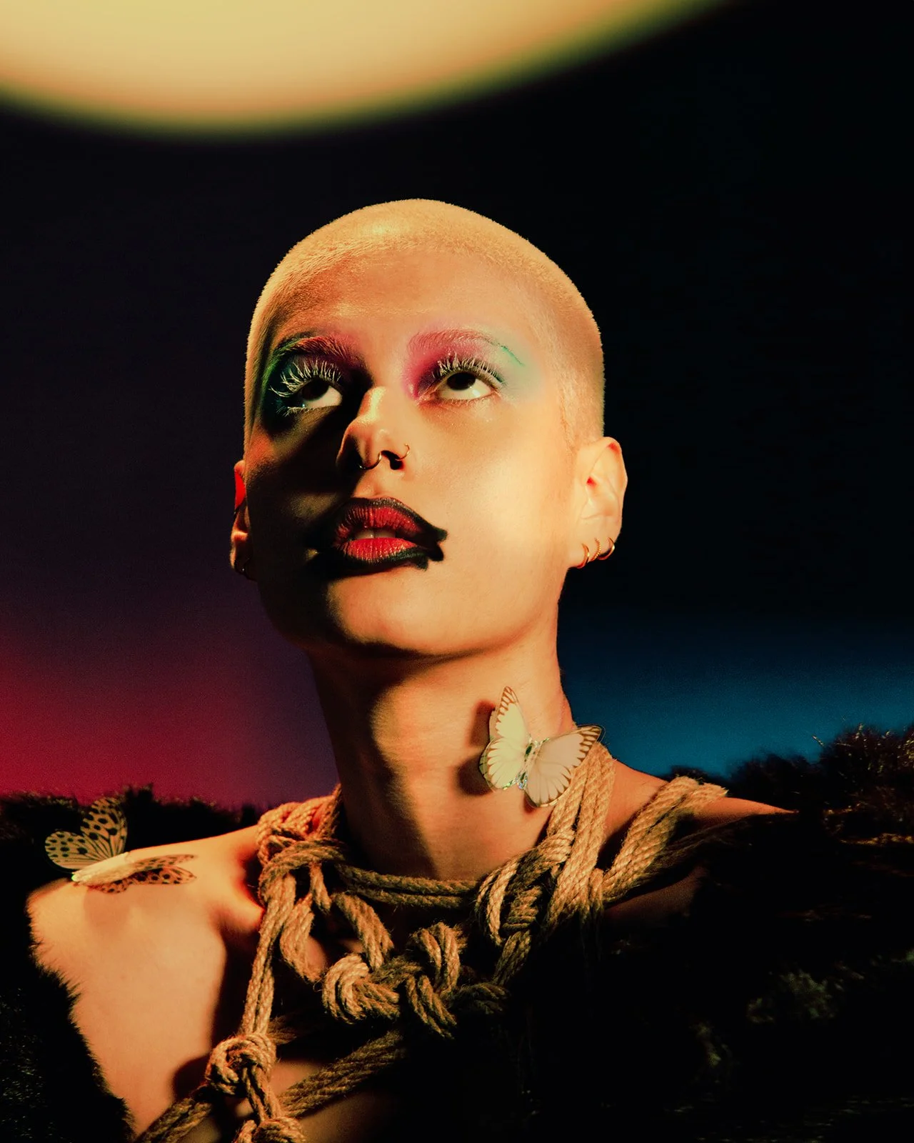 IMG_4156 copy_websize.jpg