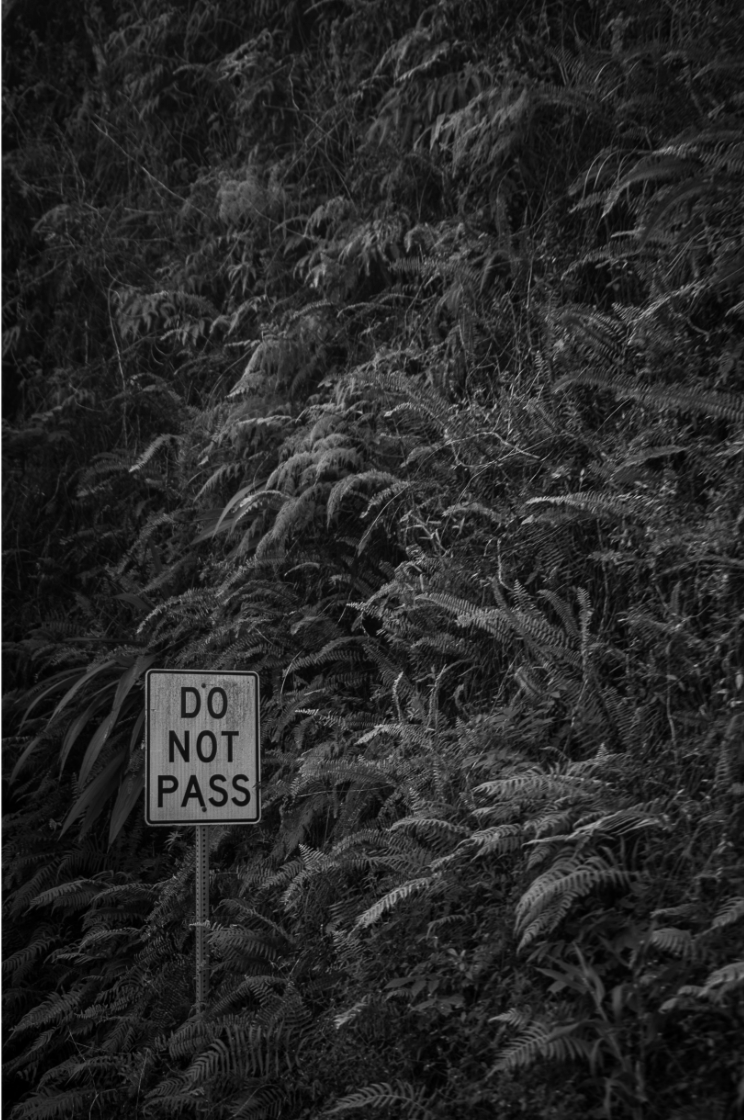 Ben White, End of the Line, 2018