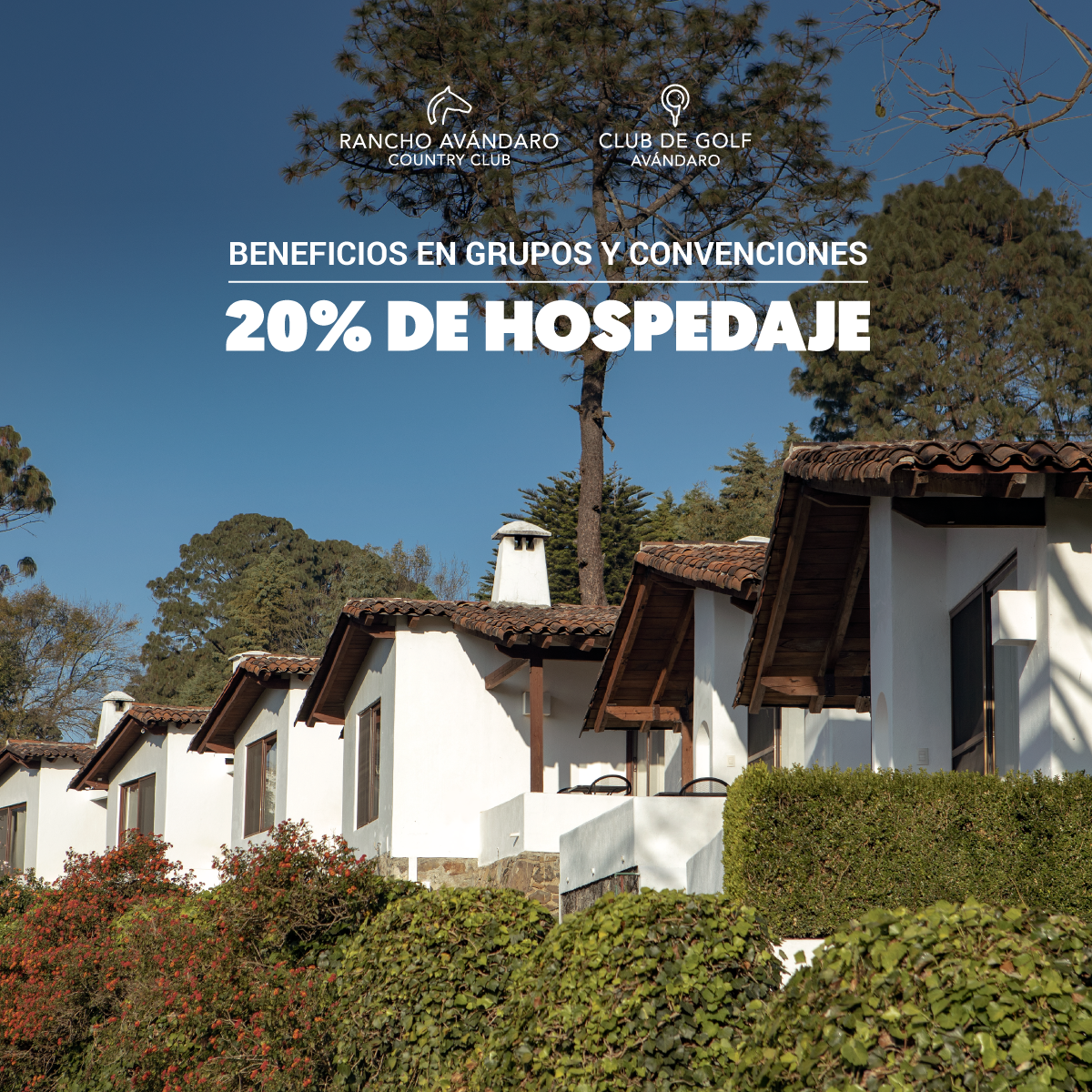 HOSPEDAJE-GRUPOS-IG-MEMBRESIA-PLATINUM.png