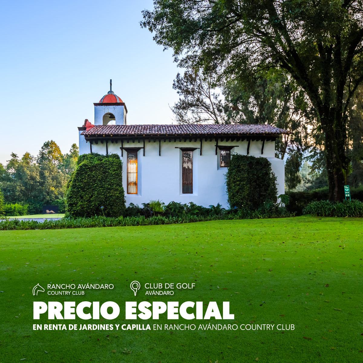 JARDINES-IG-MEMBRESIA-PLATINUM.png