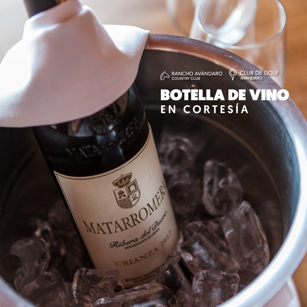 BOTELLA-DE-VINO-IG.png