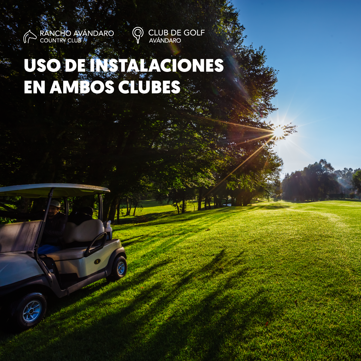 INSTALACIONES-CLUBES-IG-MEMBRESIA-PLATINUM.png