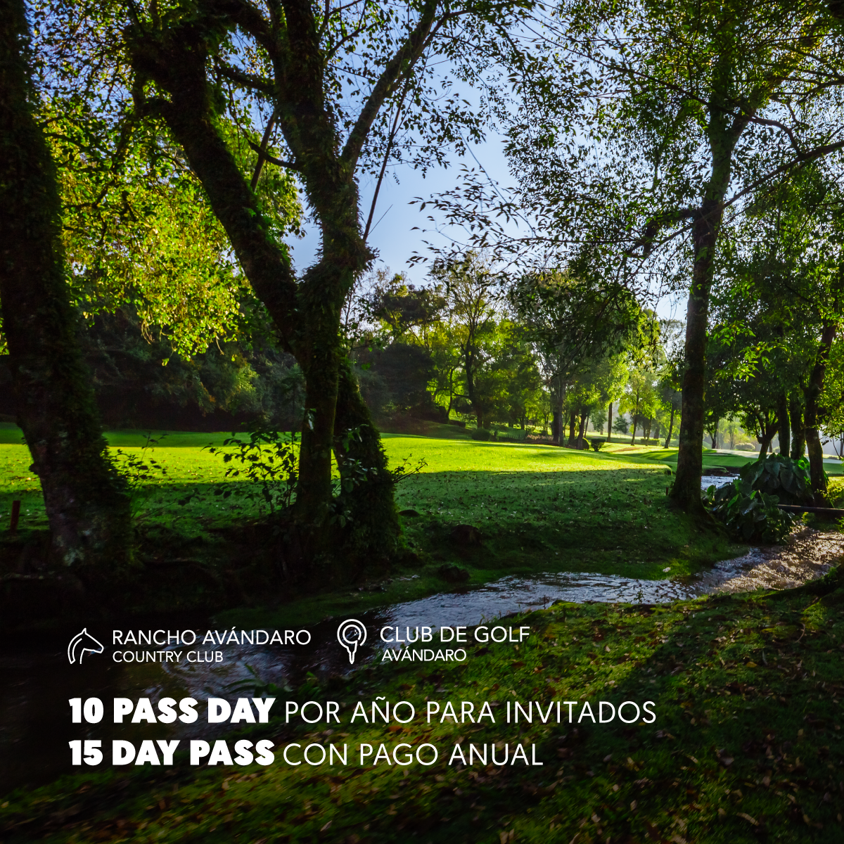 DAY-PASS-IG-MEMBRESIA-PLATINUM.png