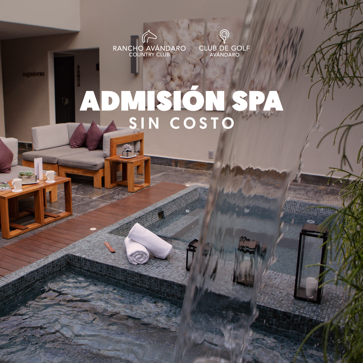 SPA-AVANDARO-IG-MEMBRESIA-PLATINUM.png