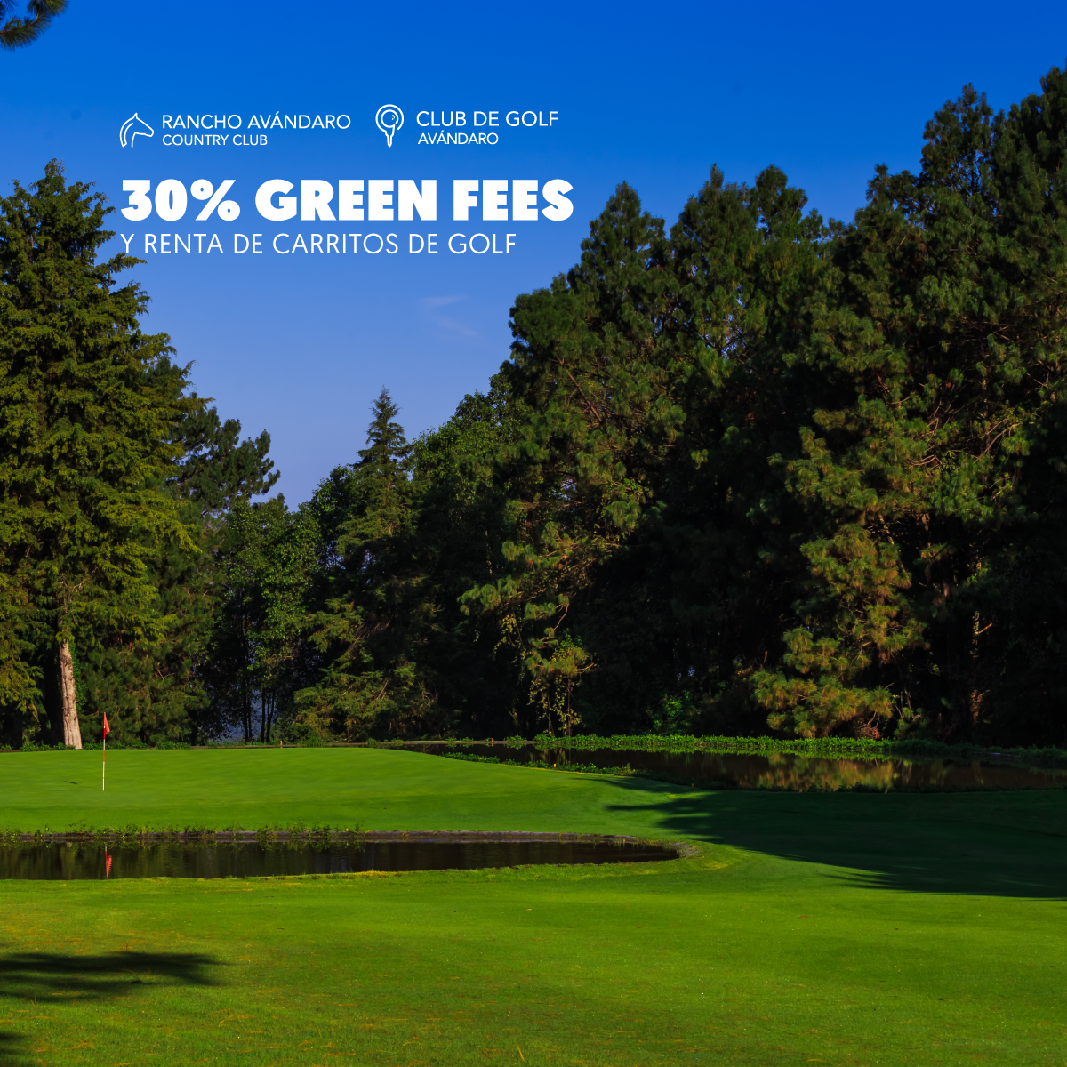 GREEN-FEES-IG-MEMBRESIA-PLATINUM.png