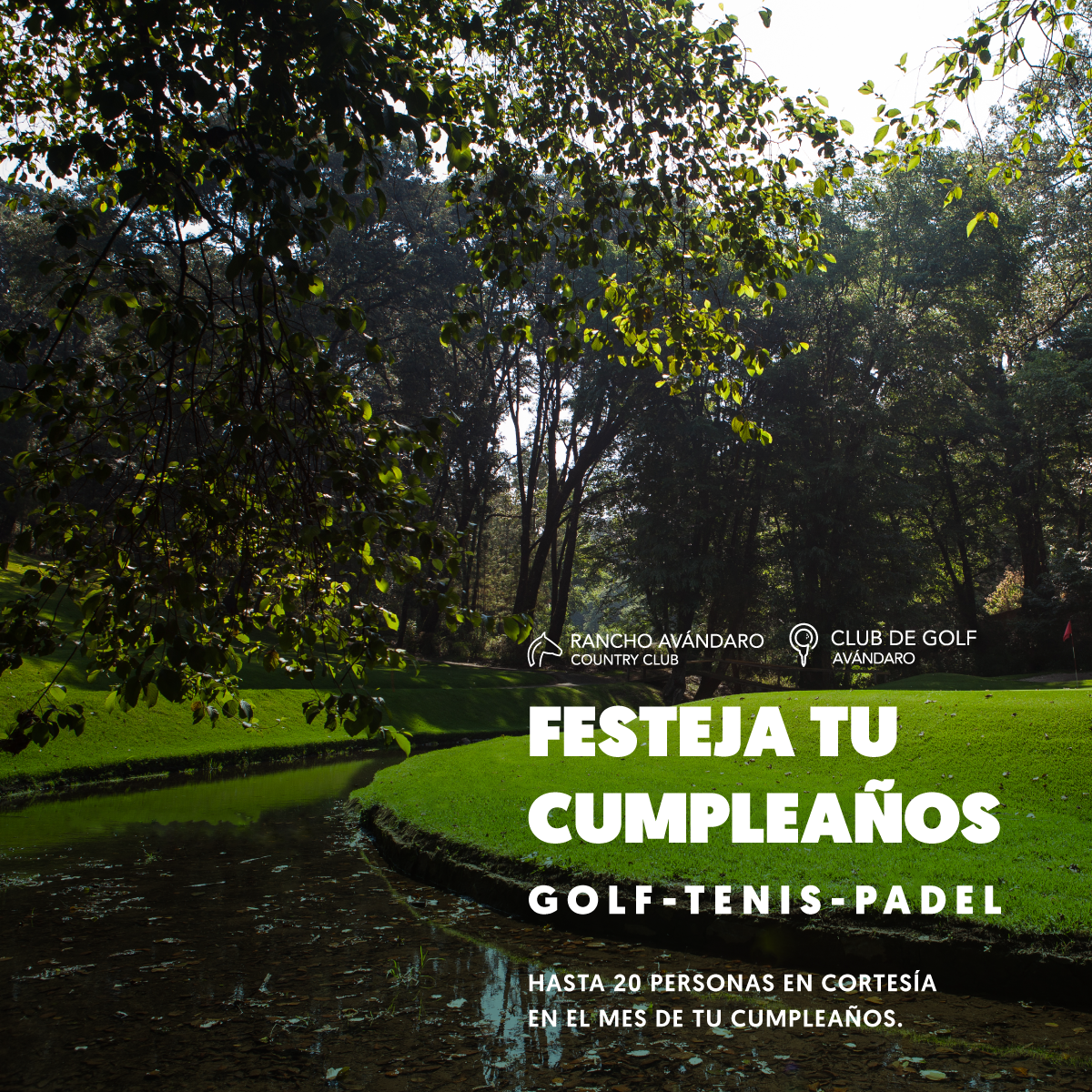 FESTEJA-TU-CUMPLEA•OS-IG-MEMBRESIA-PLATINUM.png