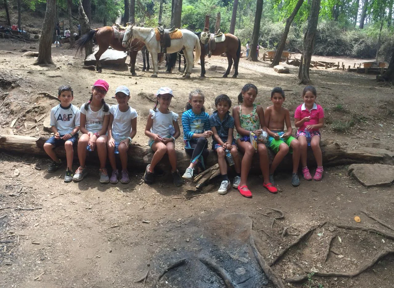 WhatsApp Image 2019-04-29 at 15.38.25.jpeg