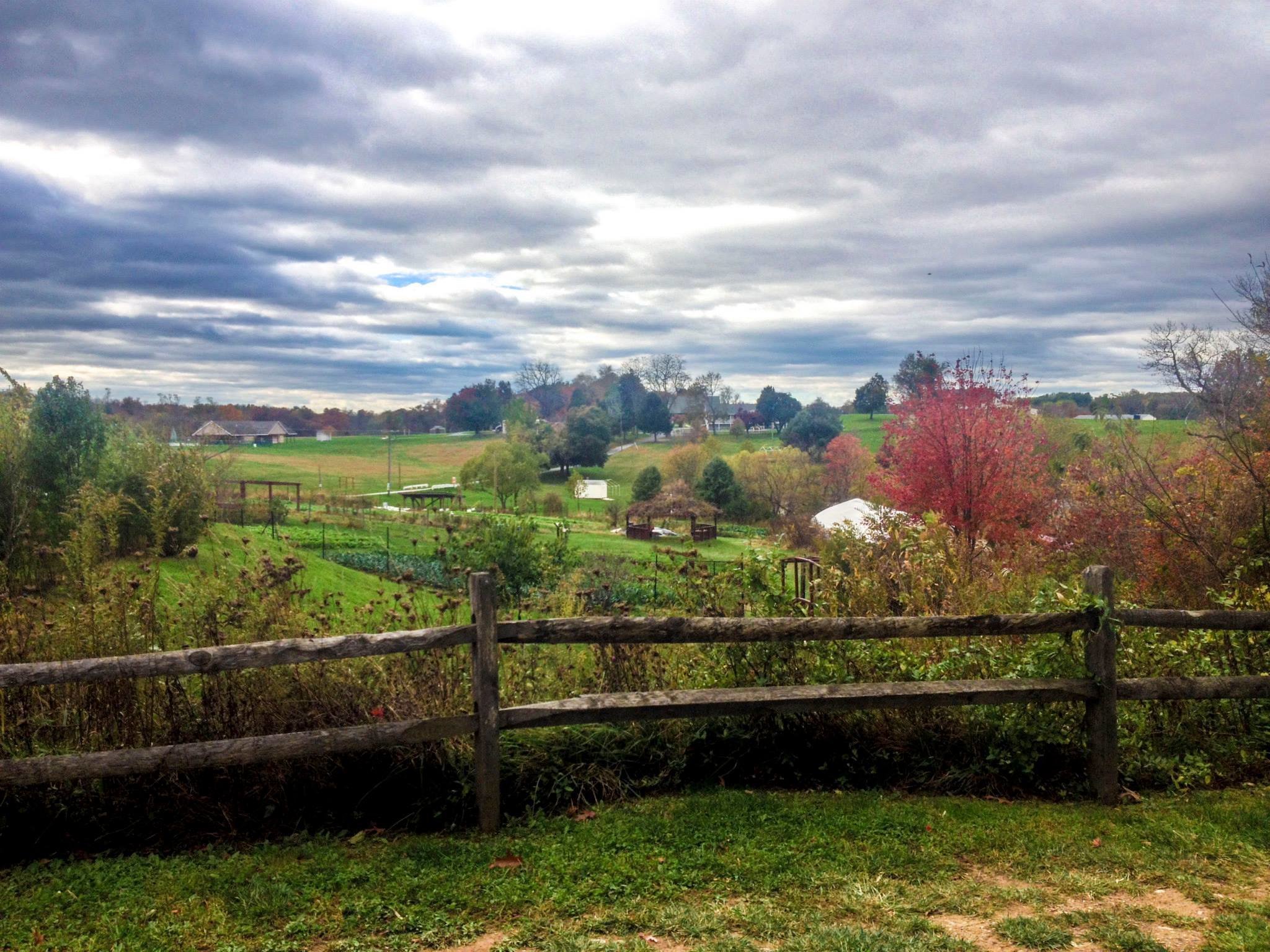 farm_view.jpg