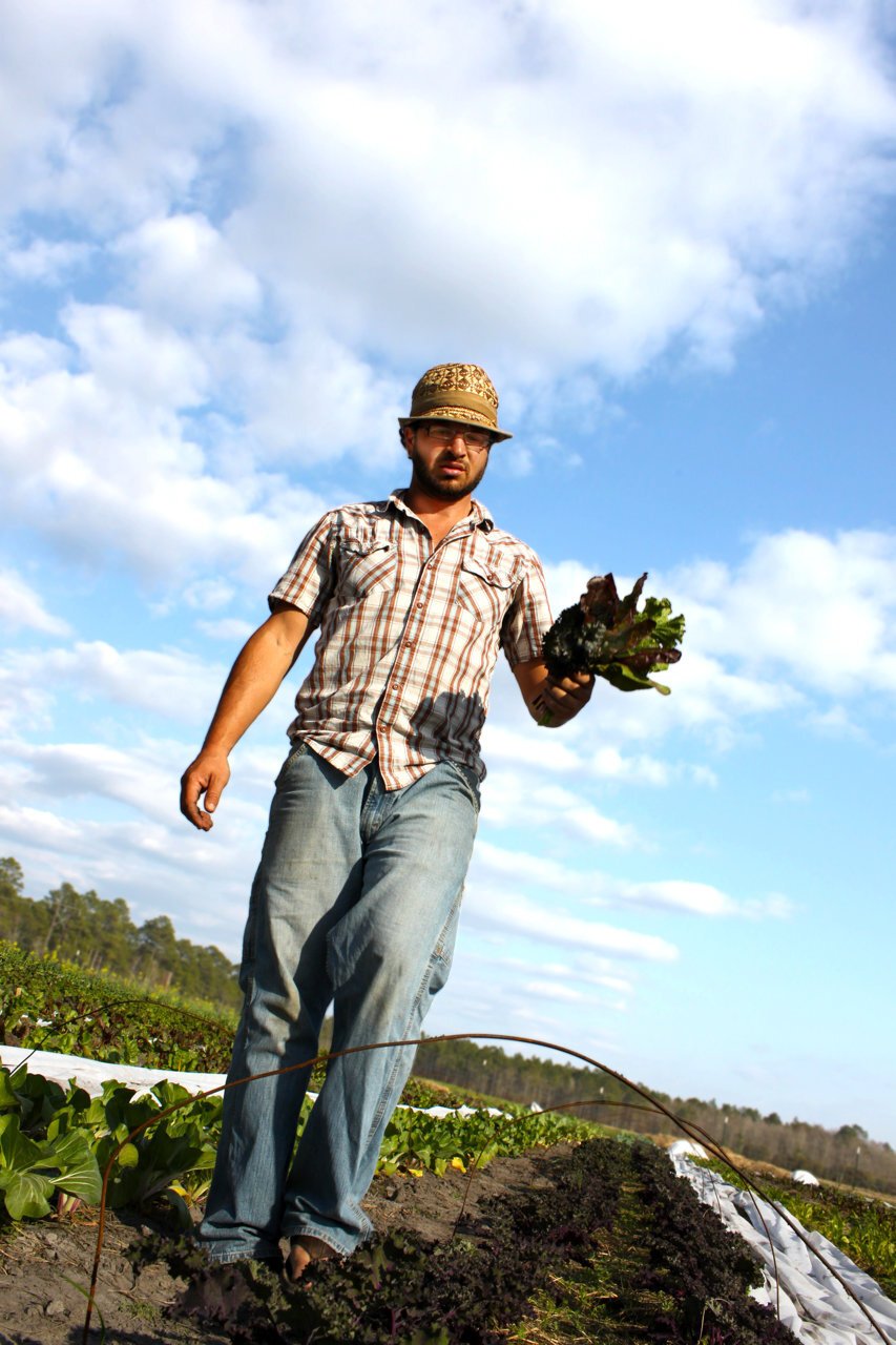 farmer_d_harvesting_chard_at_longleaf_preserve.jpg