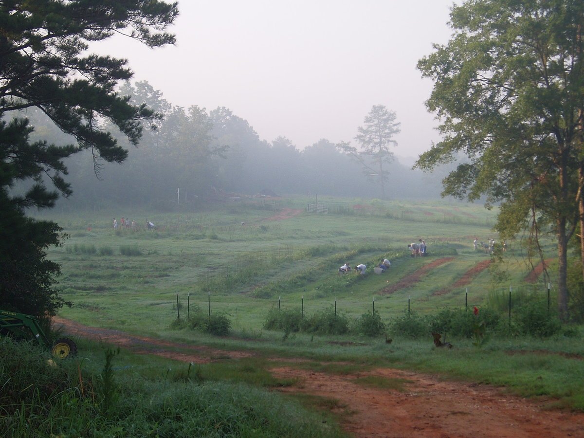 tiyul_program_2005_034.jpg