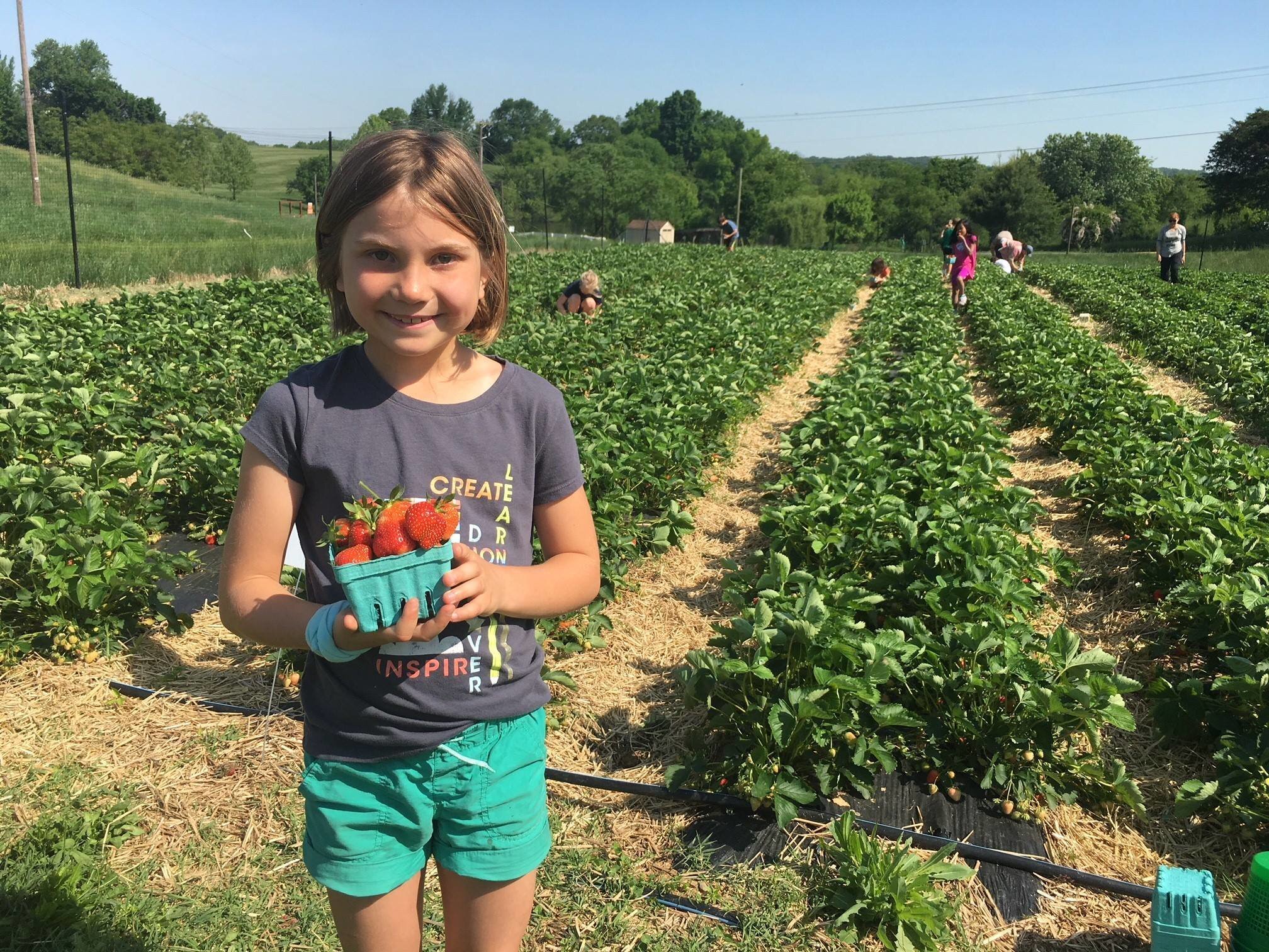 kid_with_strawberries.jpg