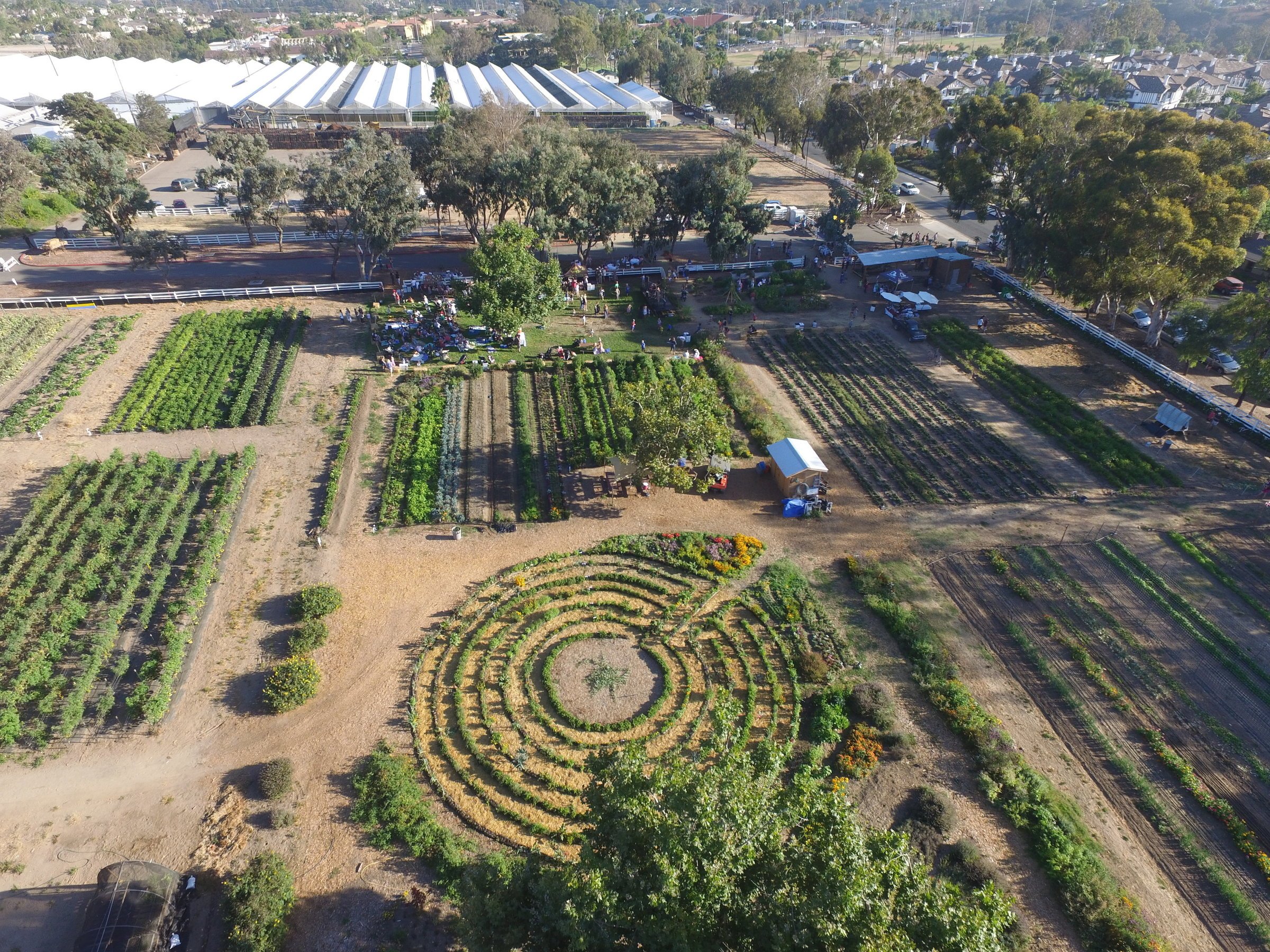 dji_0023.jpg