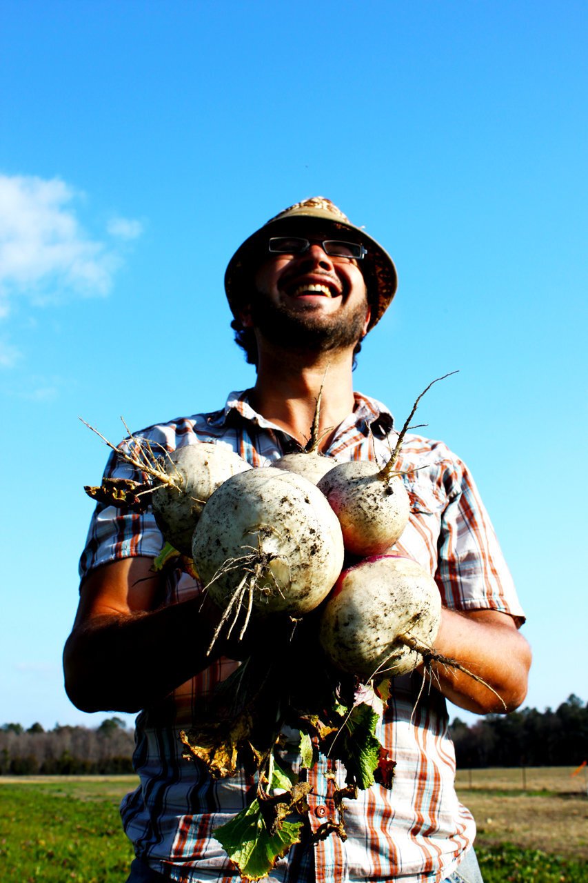pulling_turnips_from_a_cover_crop_field_at_longleaf_preserve_2011.jpg