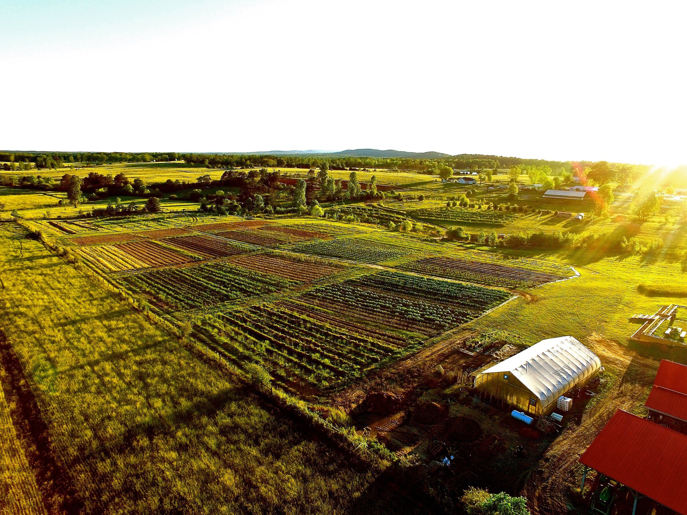 dji_0014.jpg