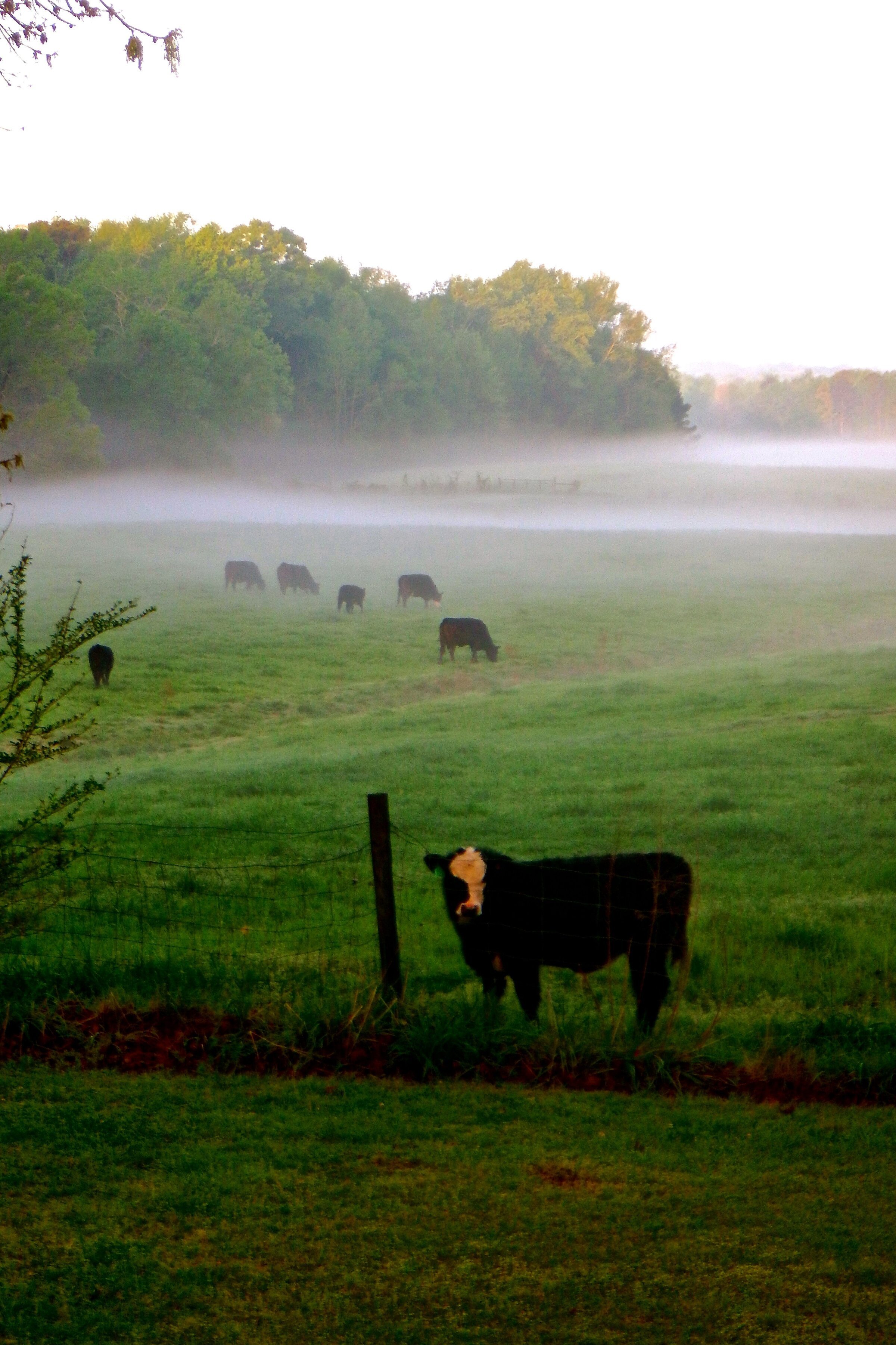 dscf2958.jpg