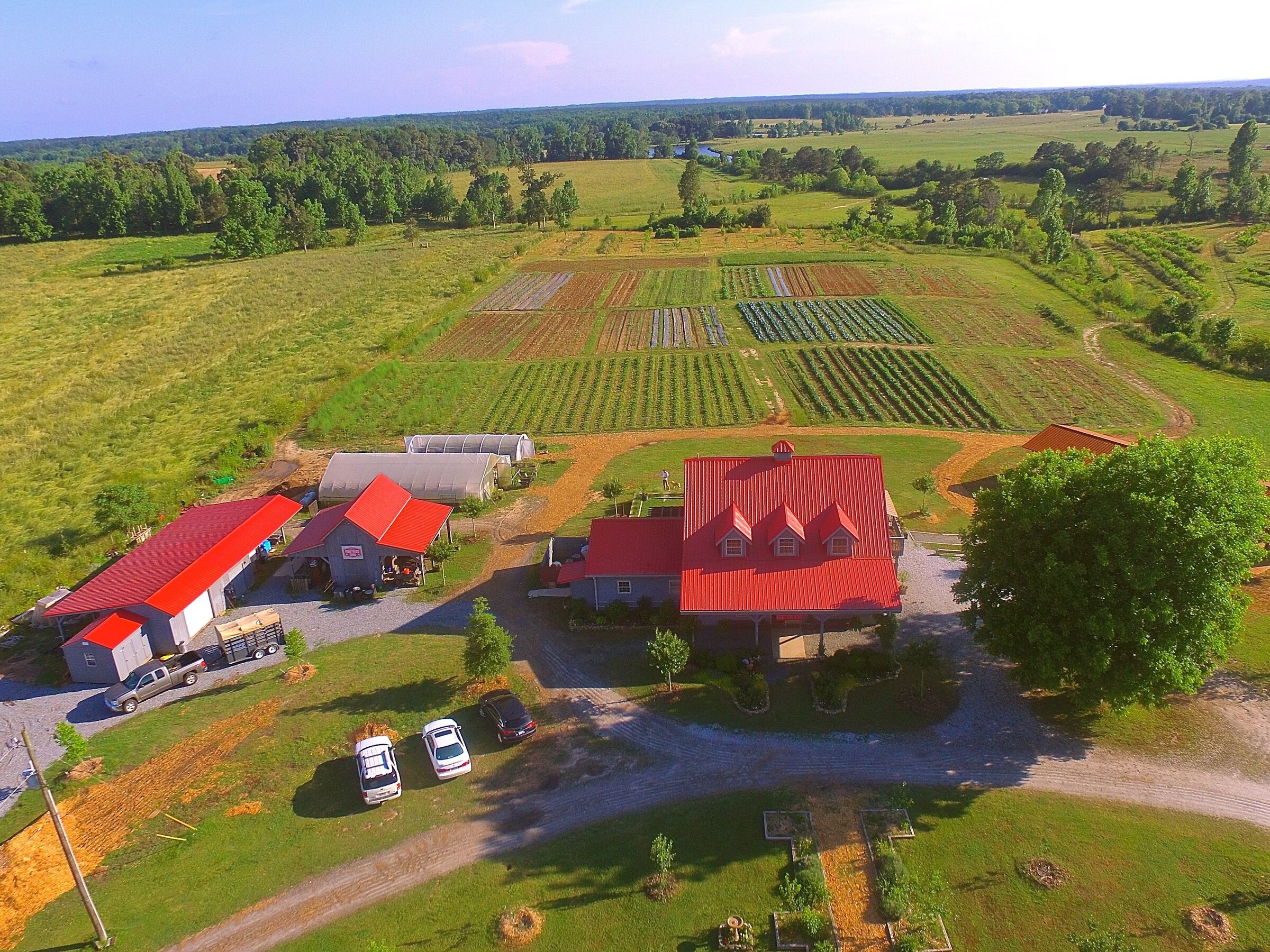 dji_0037.jpg