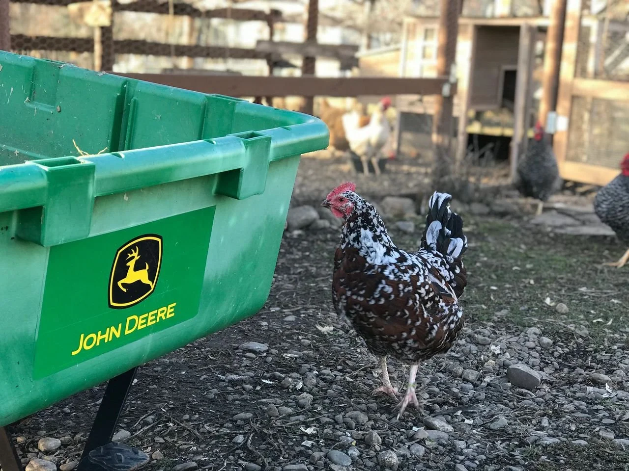 Dreams do ‘grow’ true. 