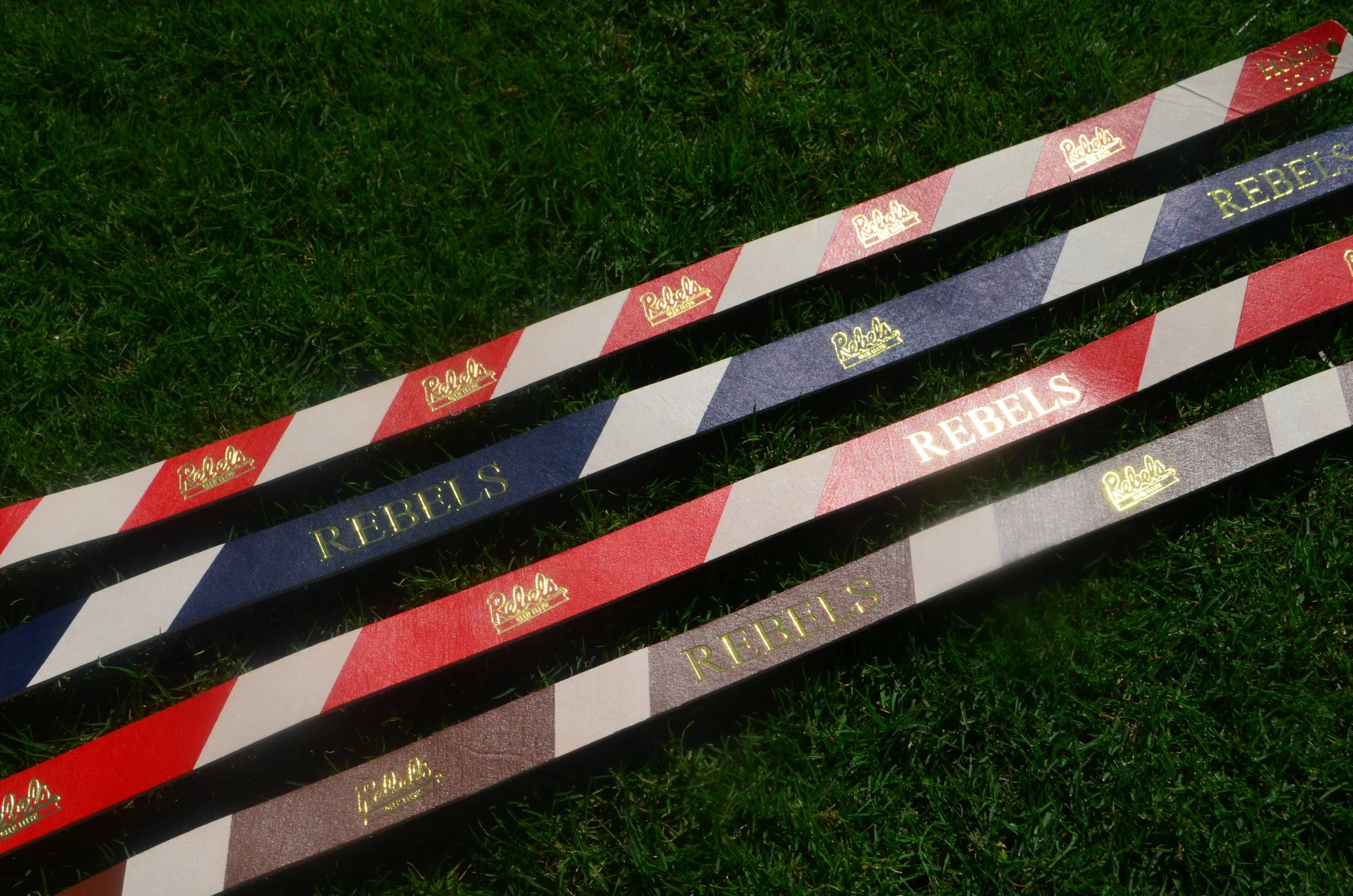 Multiple hockey sticks with red, black, blue, and gray stripes and the words "REBELS" and "Raleigh" written on them, lying on green grass.