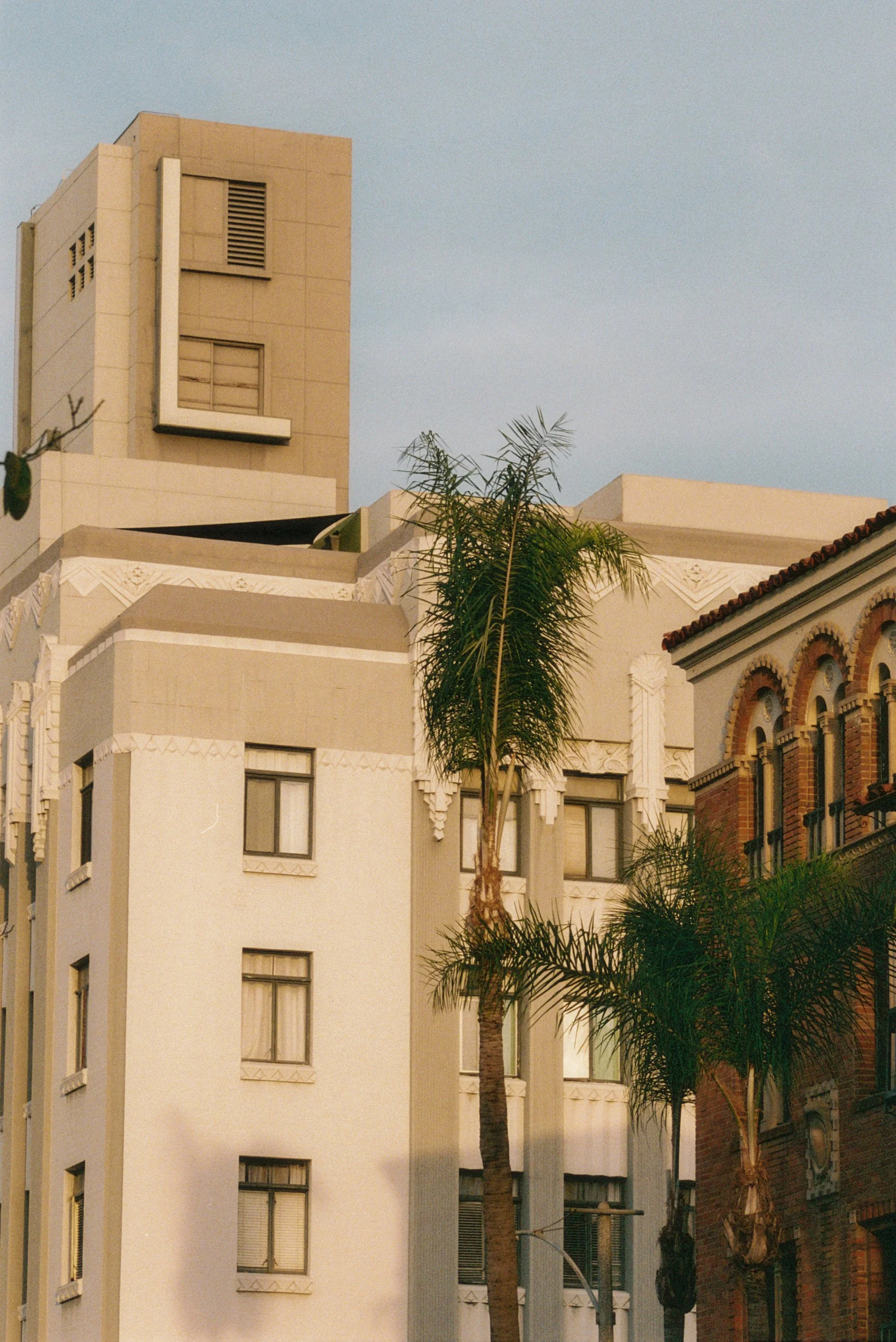 IMG-3891.JPG