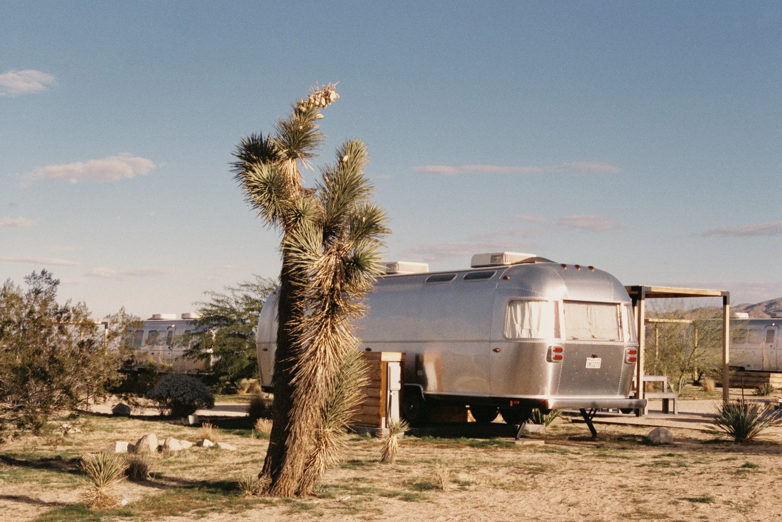 AutoCamp Joshua Tree
