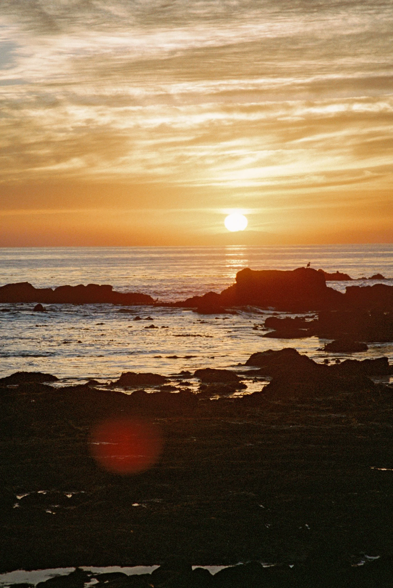 IMG4408-R01-003A.jpg