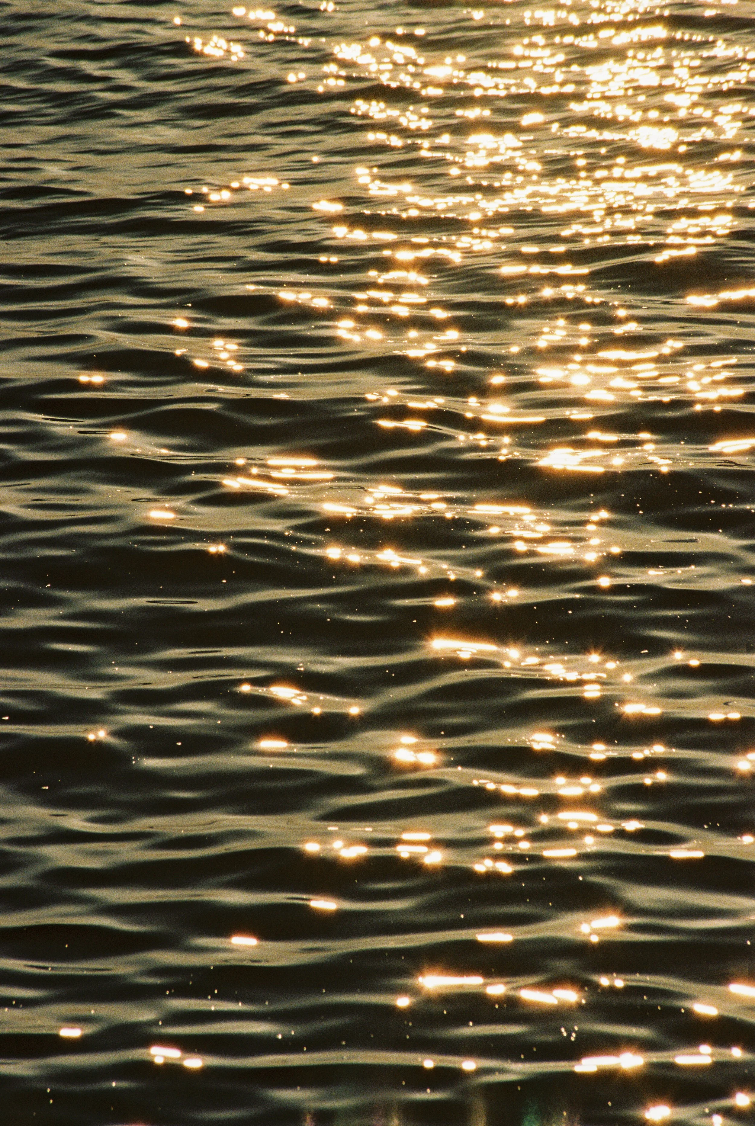 99914362-155422.jpg